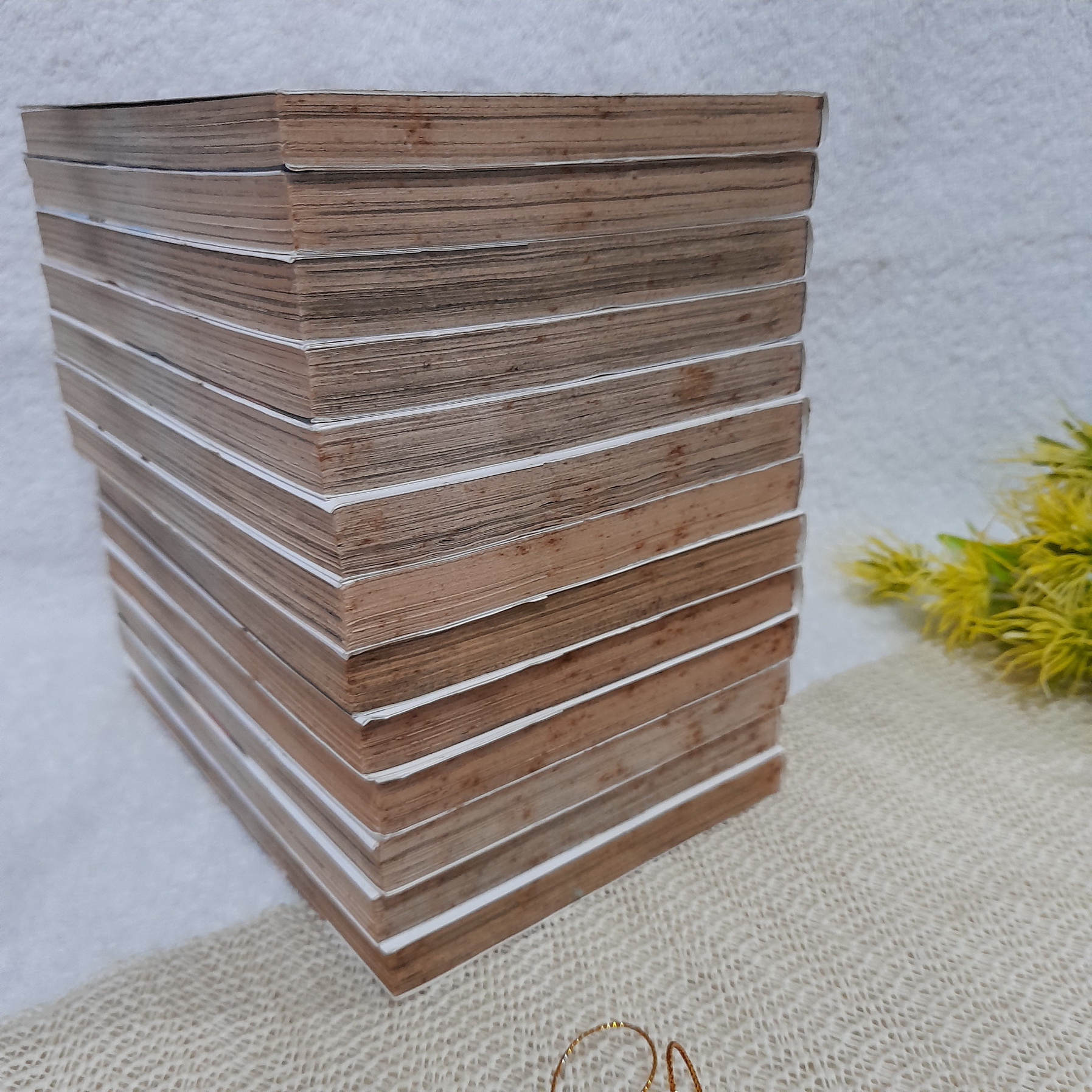 ยินเซ คนดุหัวใจบริสุทธิ์ เล่ม 1-15 จบ / * ขาดเล่ม 9,10