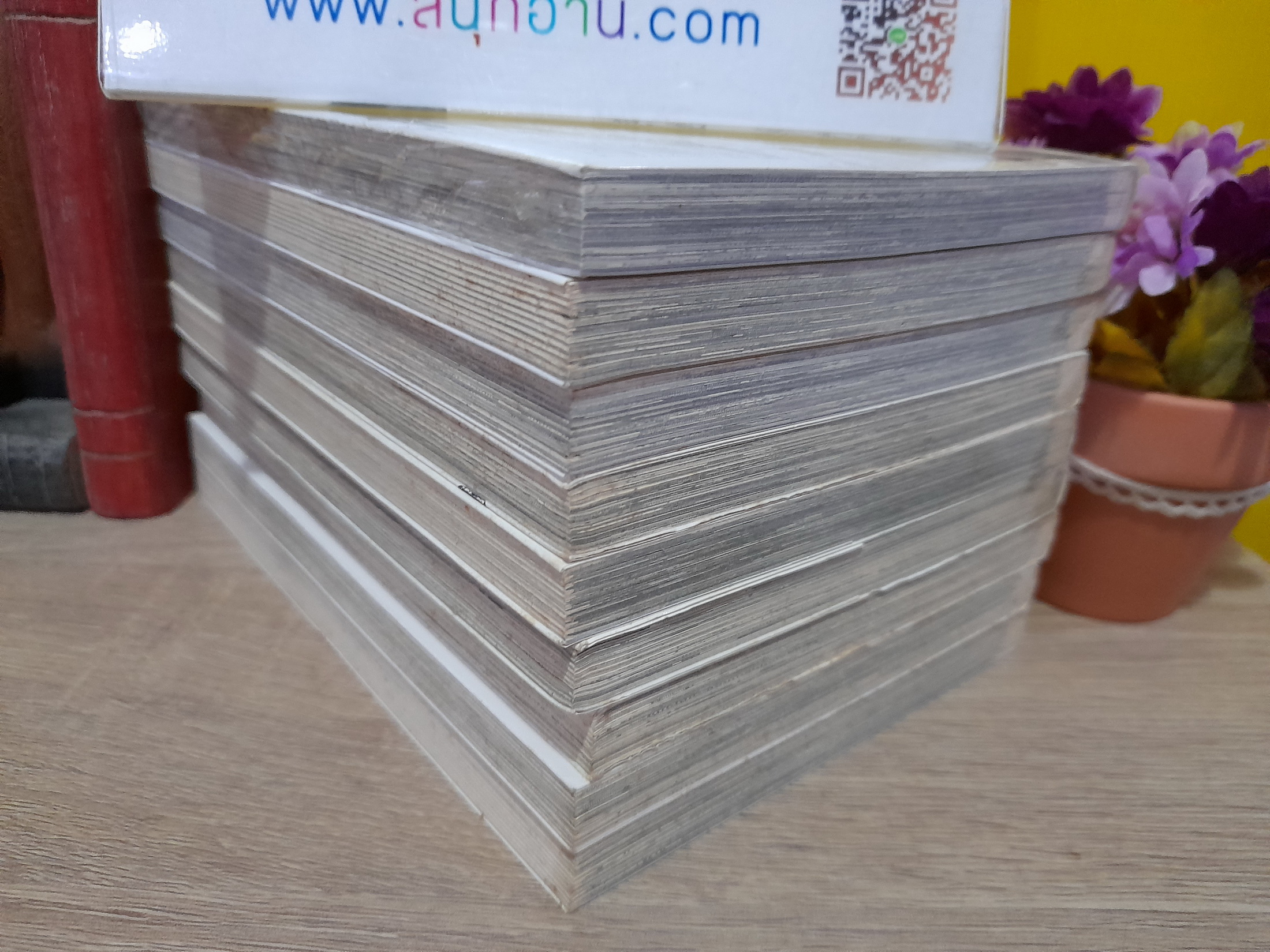 ภูติดาบสยบมาร เล่ม 1-9 (ออกมาเท่านี้)