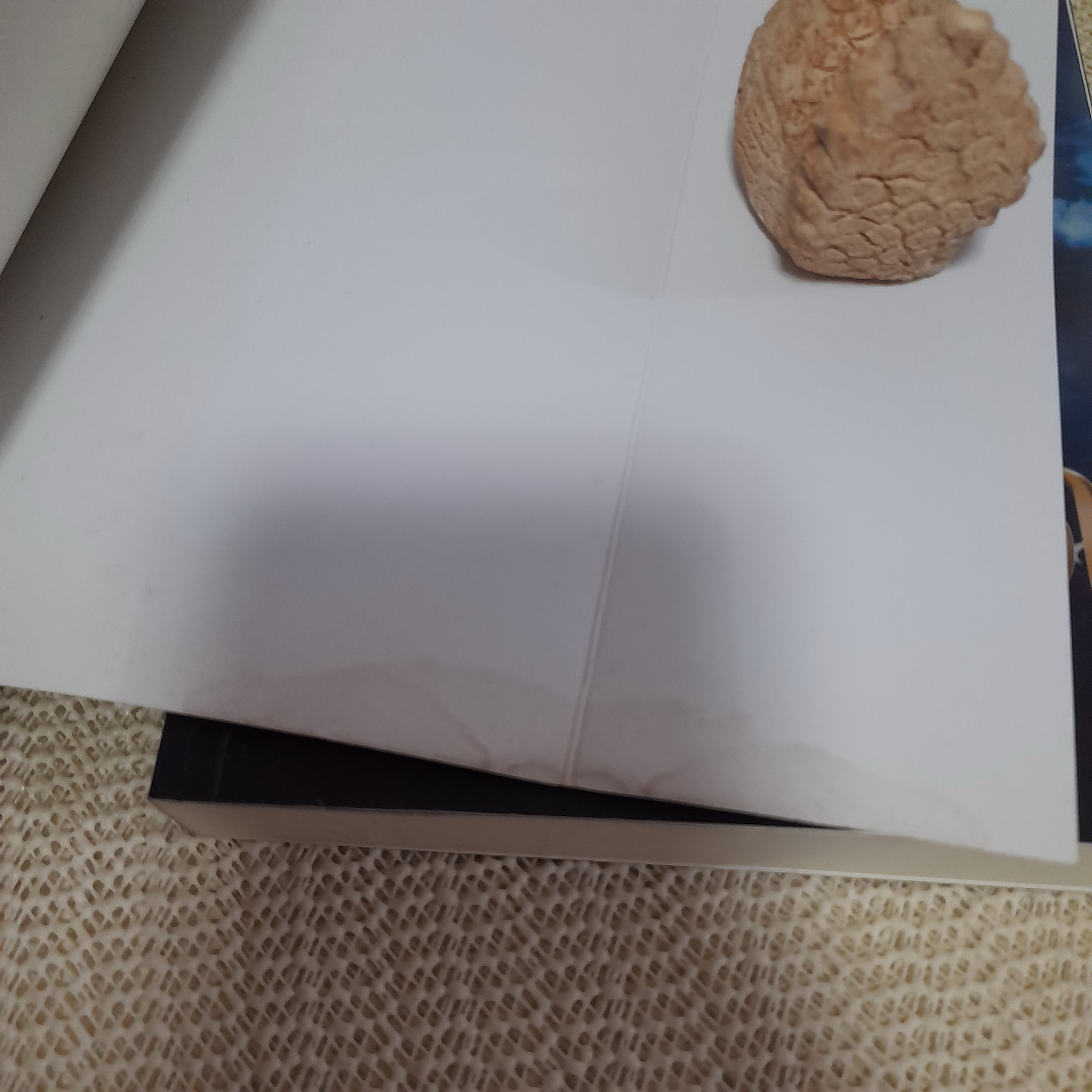 โสมสีเลือด / หมอกมุงเมือง