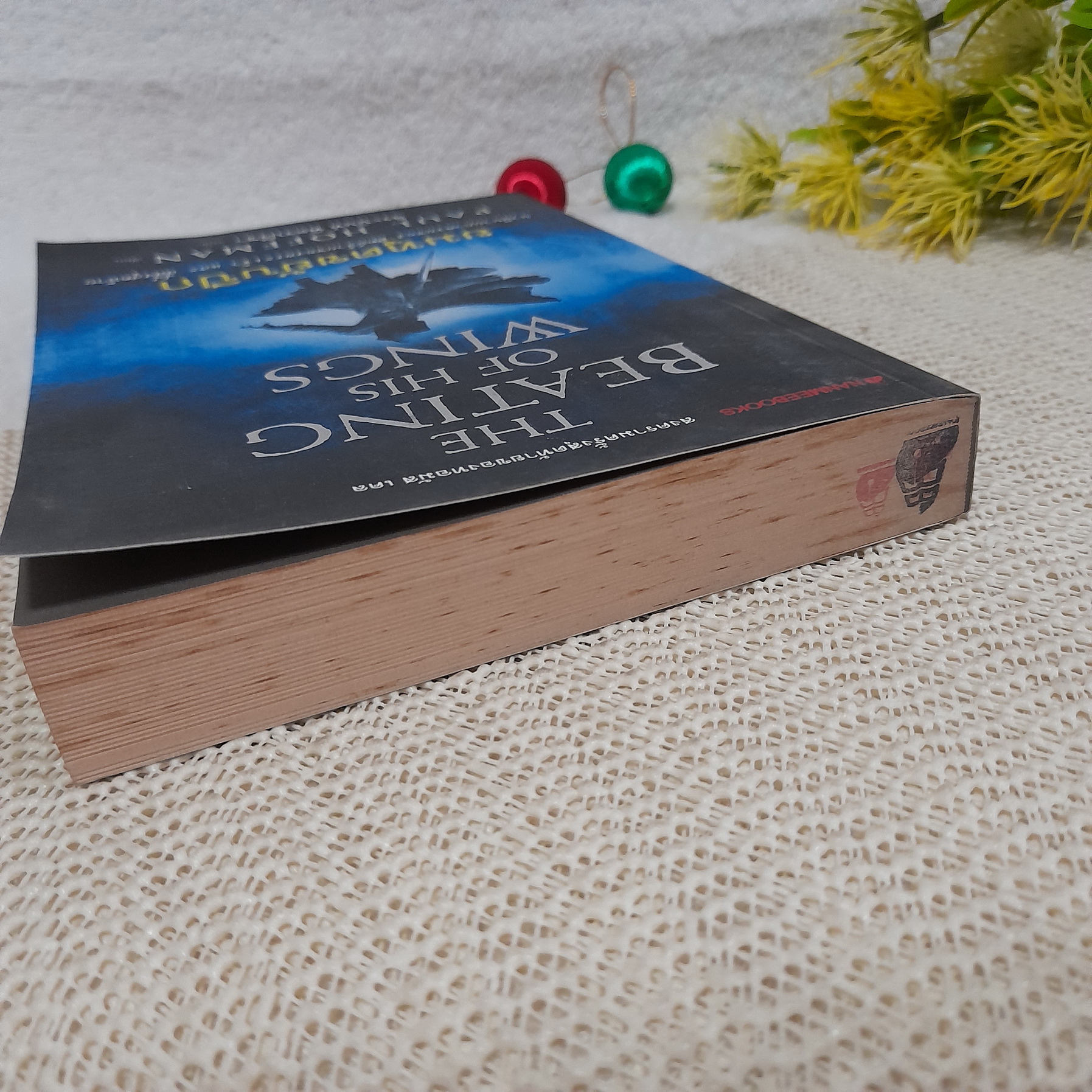 ยมทูตขยับปึก (The Beating of His Wings) / Paul Hoffman