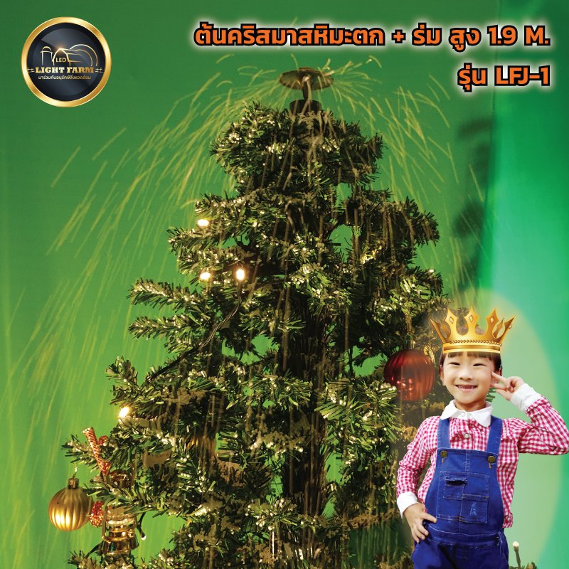 ต้นคริสต์มาส มีไฟ