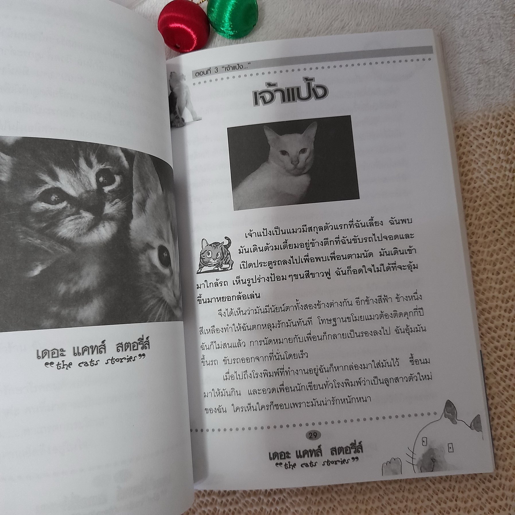 เดอะ แคทส์ สตอรี่