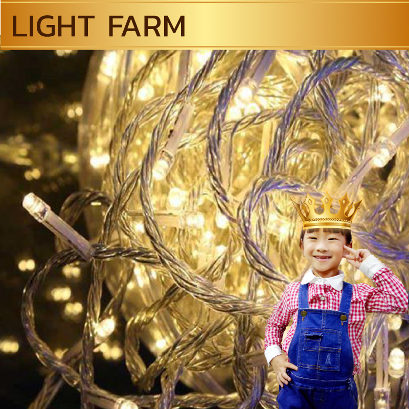 ไฟไม่กระพริบ LED สีวอมไวท์ ไฟประดับตกแต่ง