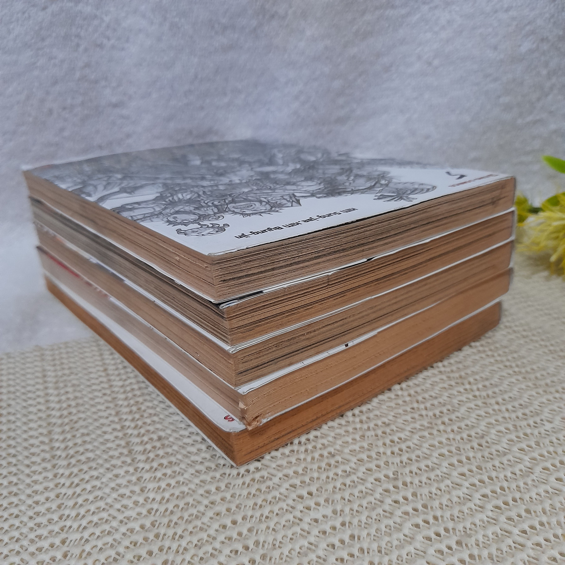 นักสู้สายพันธุ์ดุ มารุฮัน 1-5 ไม่จบ (ออกมาถึงเล่ม 8 )