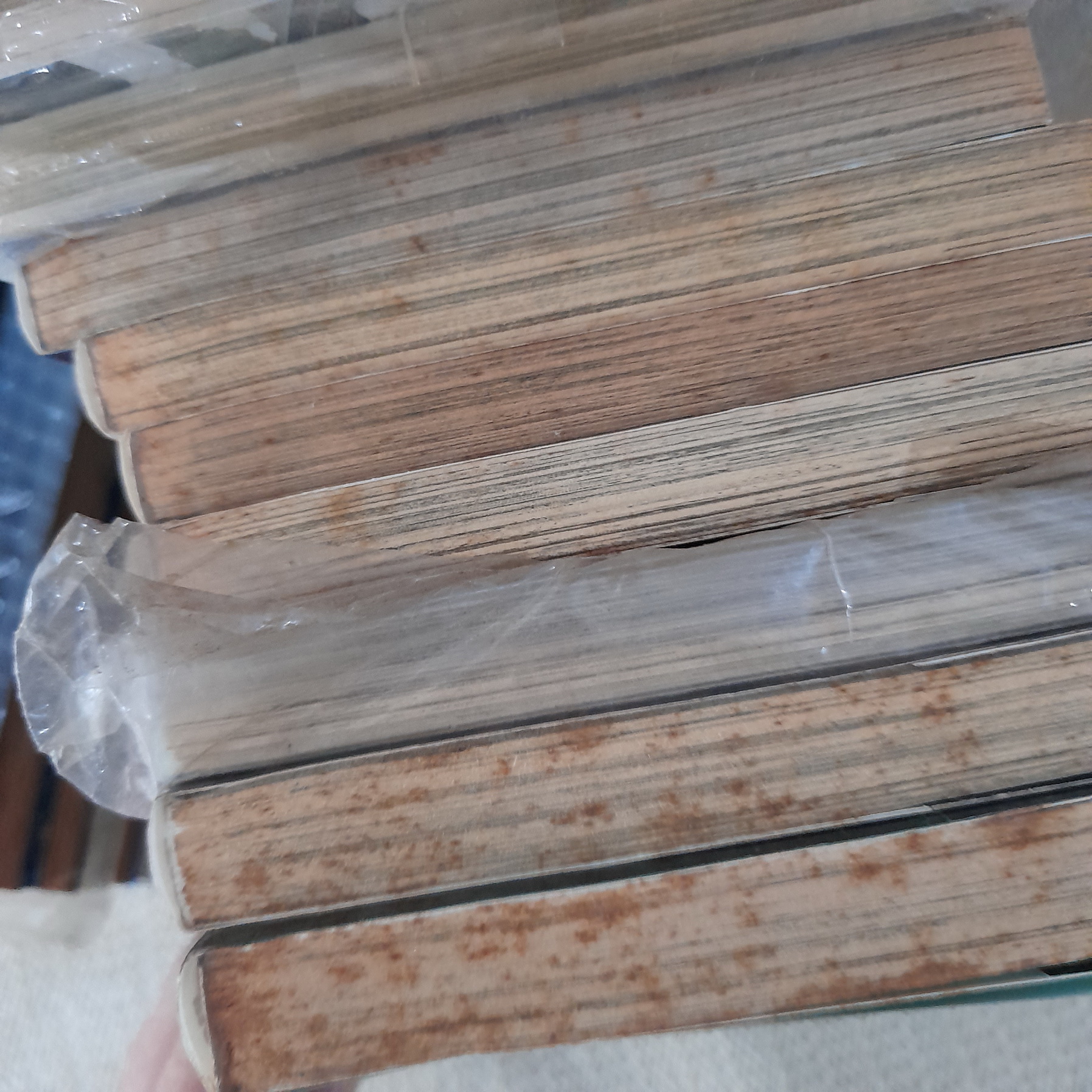 เนตรปริศนาล่าทรชน 1-23 ไม่จบ / * ขาดเล่ม 5,7,12,19,22,24-26