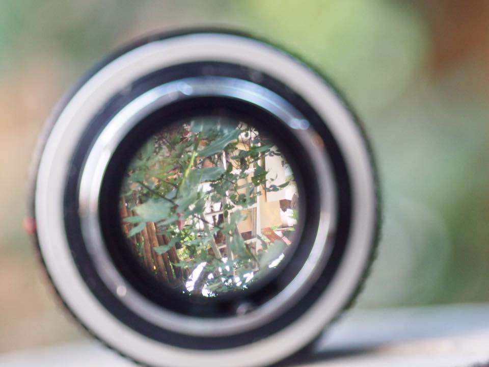 MINOLTA MC ROKKOR-X PG 50MM. F1.4 MD MOUNT