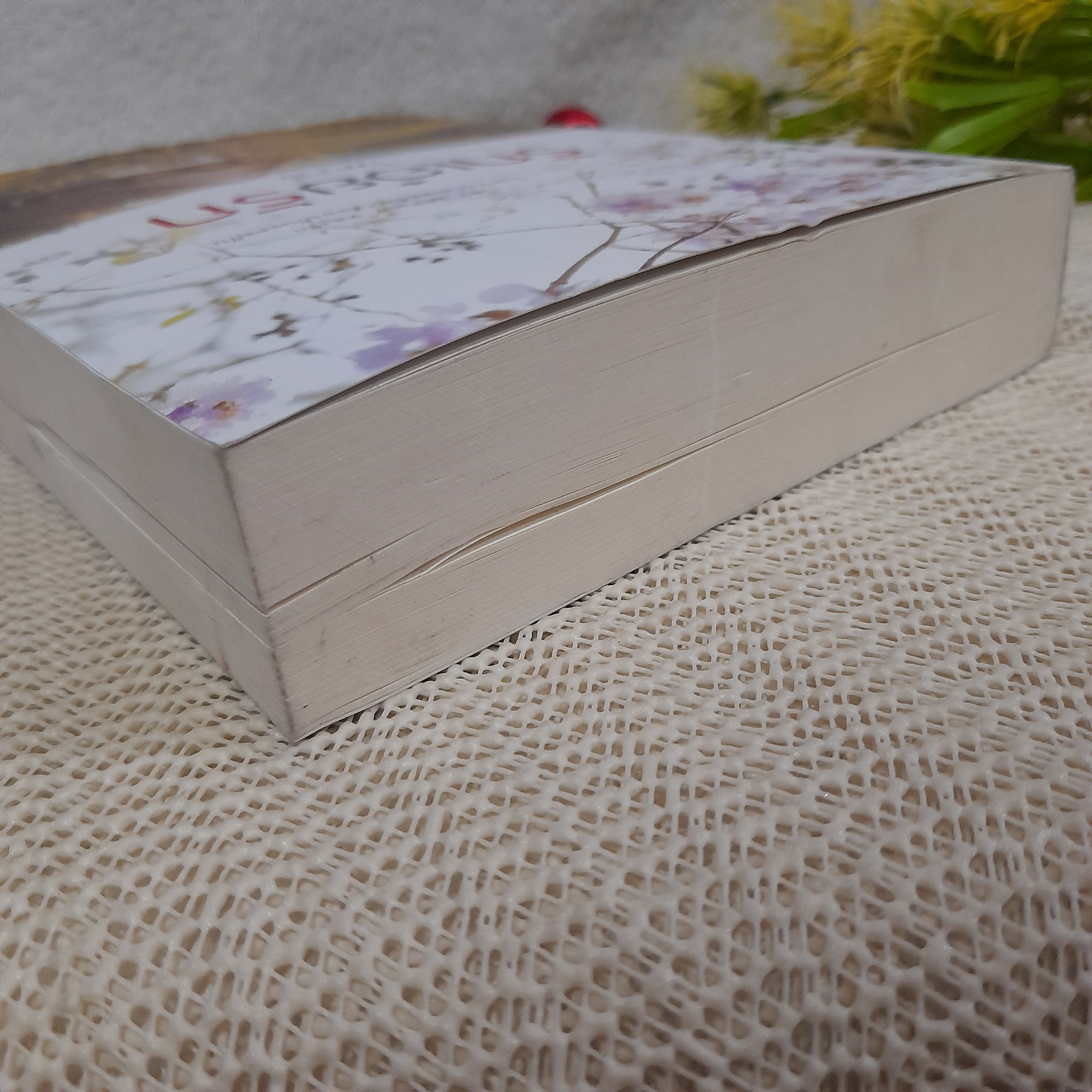 รักเอ๋ยรัก / ไพนารี