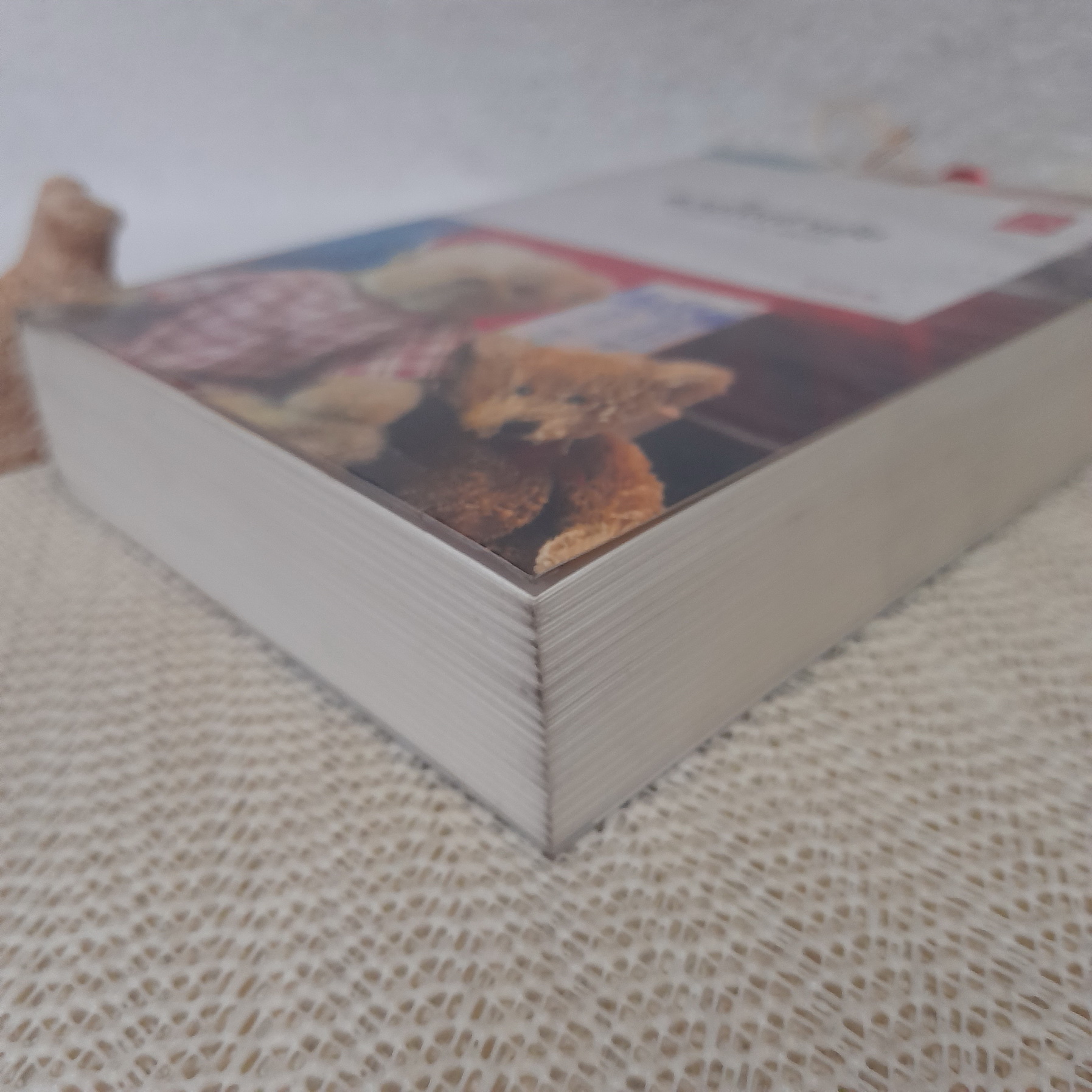 ดวงใจเจ้าเอ๋ย / ดวงตะวัน