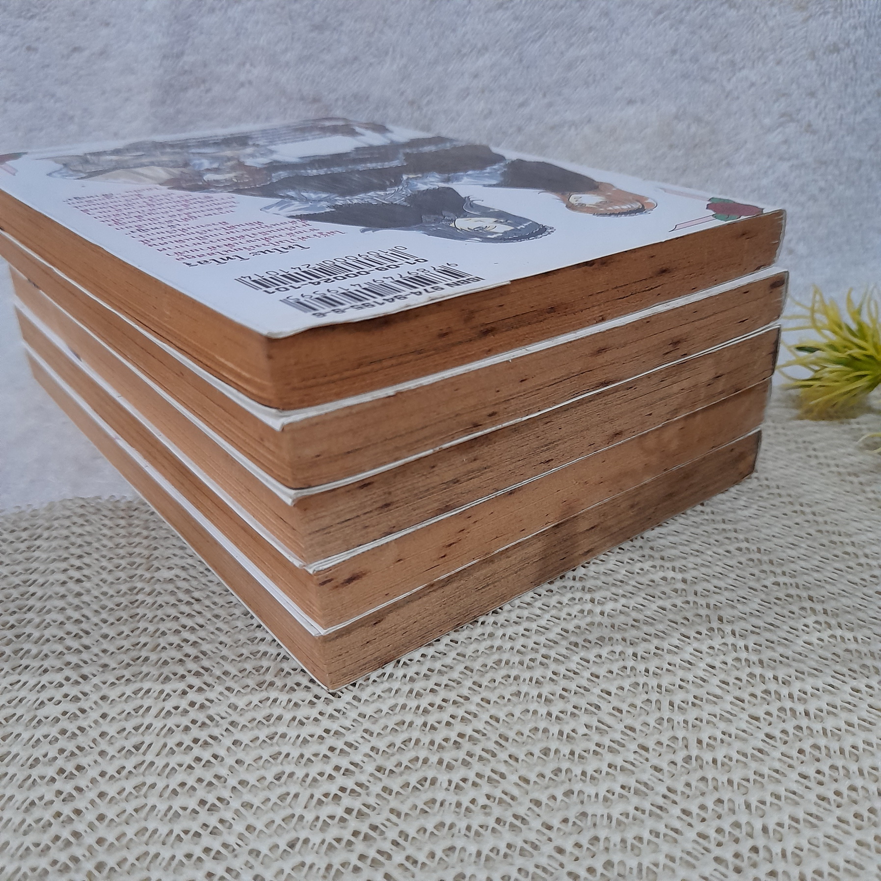 PRINCESS PRINCESS เขาให้ผมเป็น "เจ้าหญิง" ครับ 1-5 จบ