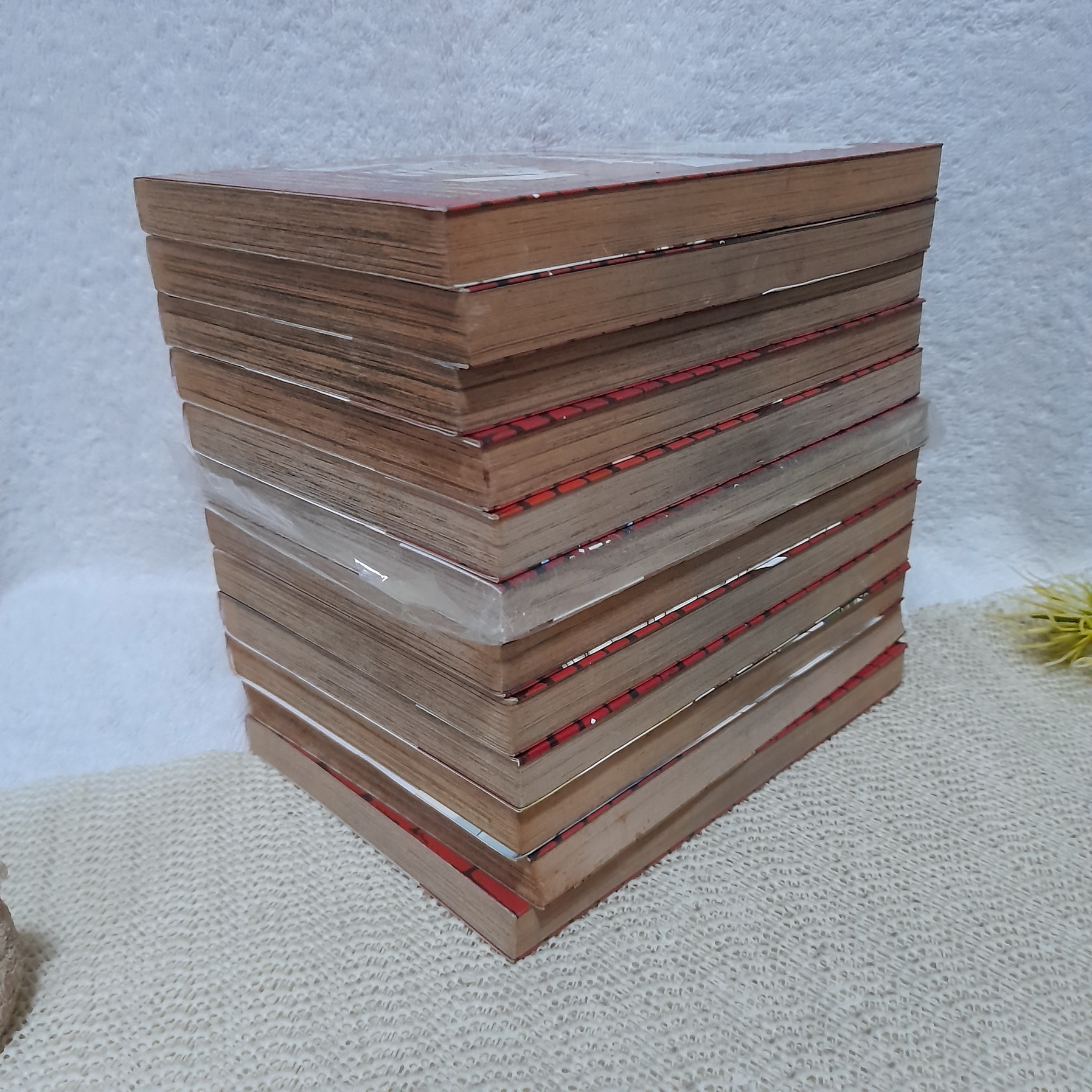 Busterkeel อัศวินป่วนหมัดมังกร 1-12 จบ