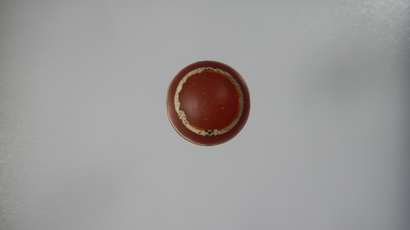 คาเนเลียนเขียนสีเม็ดที่3(ขายแล้ว)