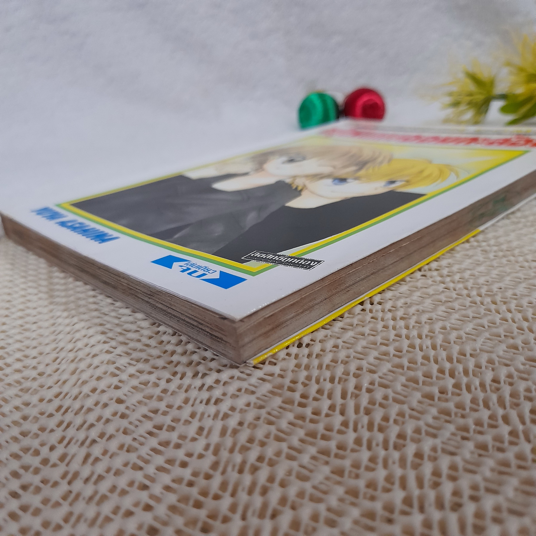 หนุ่มผมทองจอมกะล่อน / Yuya Asahina