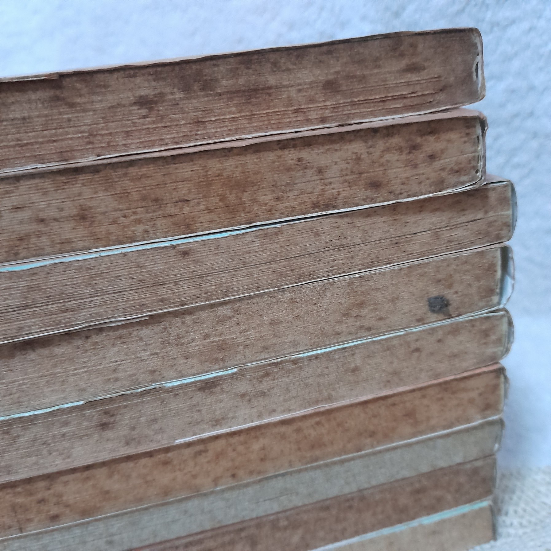 คุโรซากิ บริษัทรับส่งศพ (ไม่) จำกัด 1-7,9,10 ไม่จบ