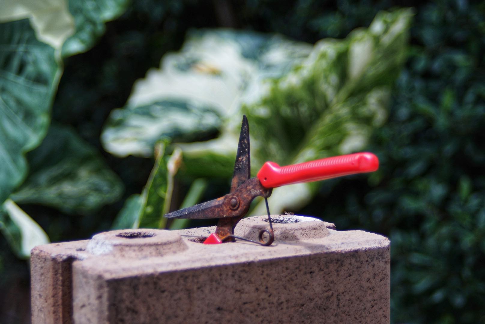 SMC PENTAX-M ZOOM 40-80MM.F2.8-4 MACRO