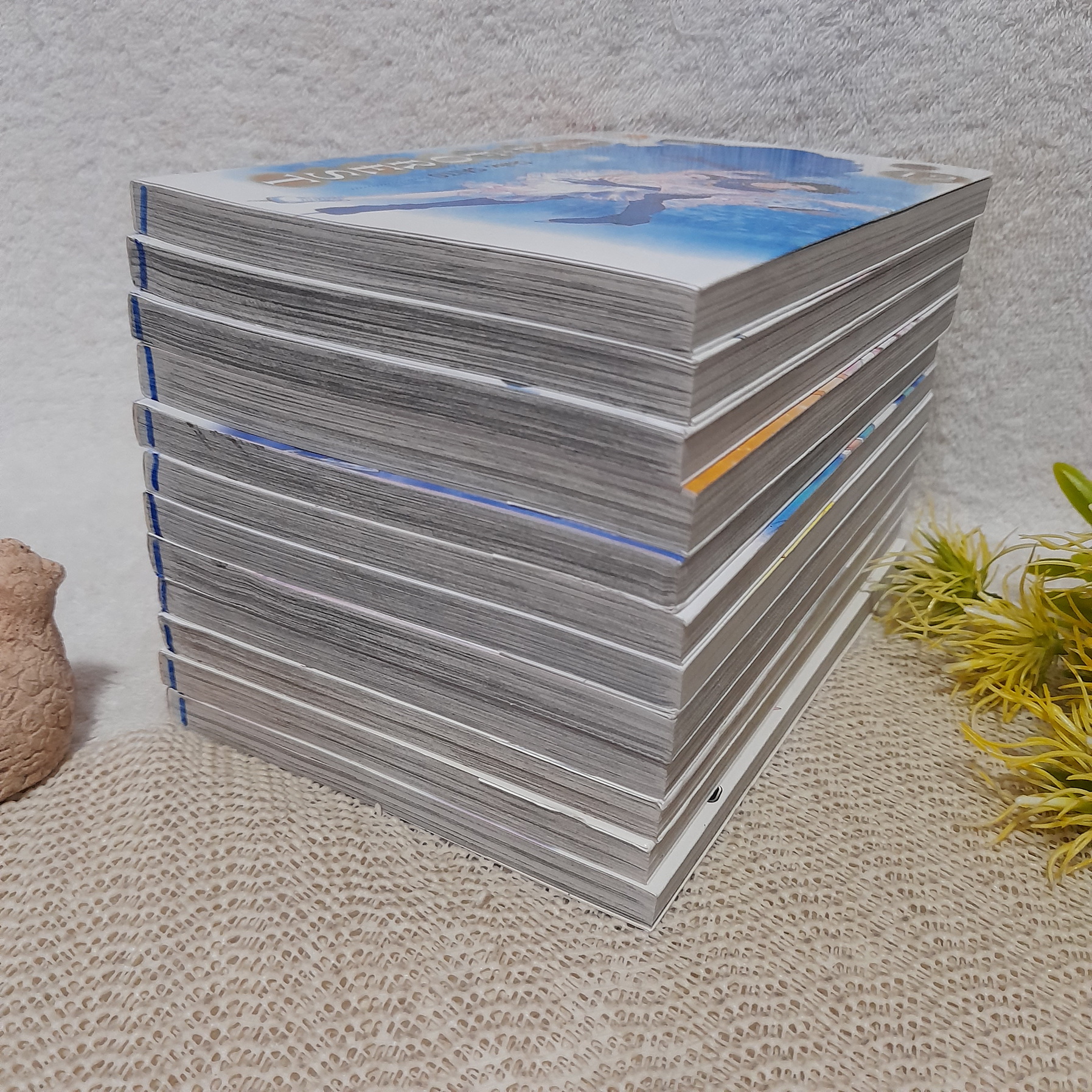 Ice Forest 1-12 จบ / Saito Chiho