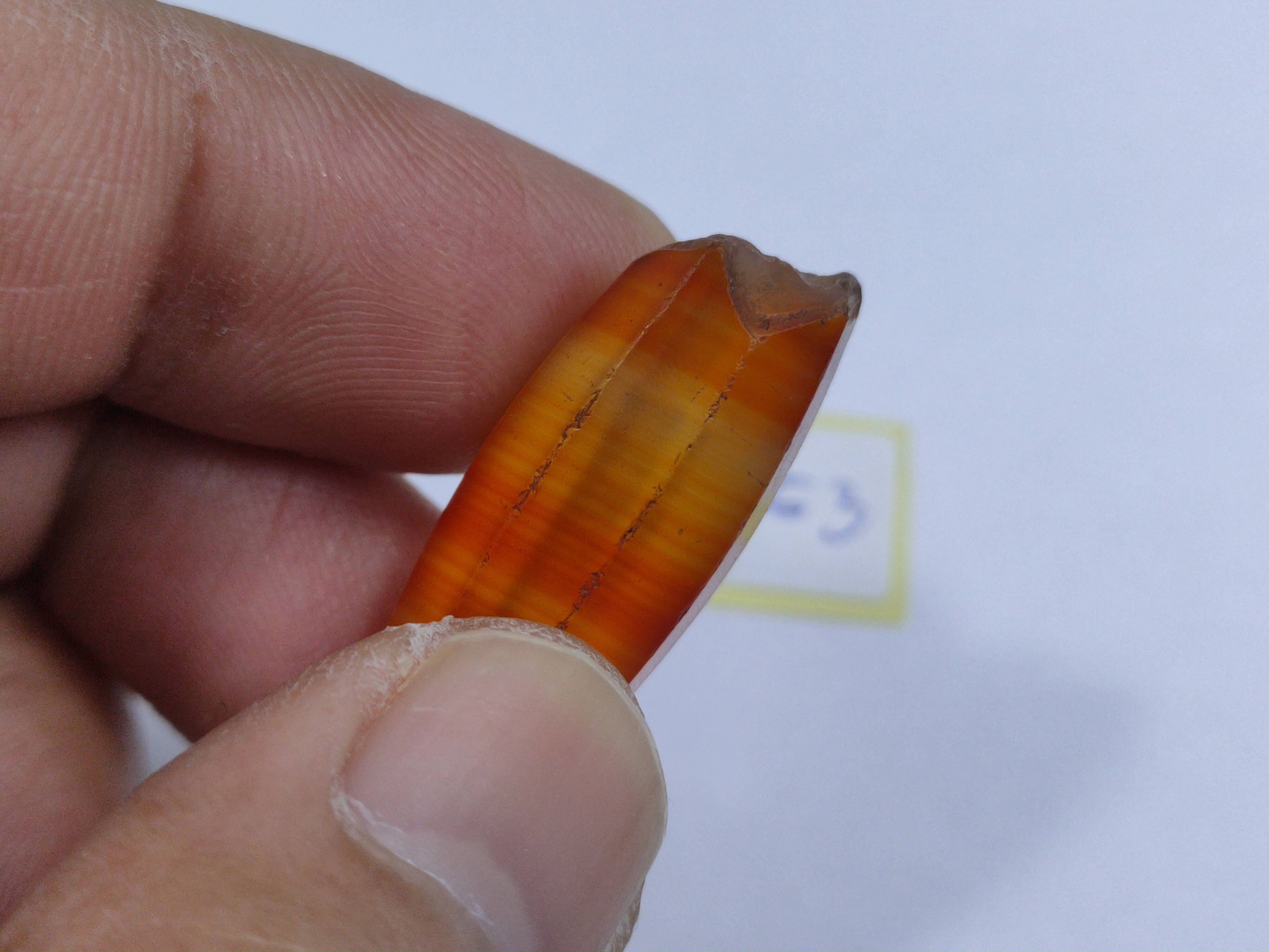 ลูกปัดคาเนเลี่ยน(ขายแล้ว)