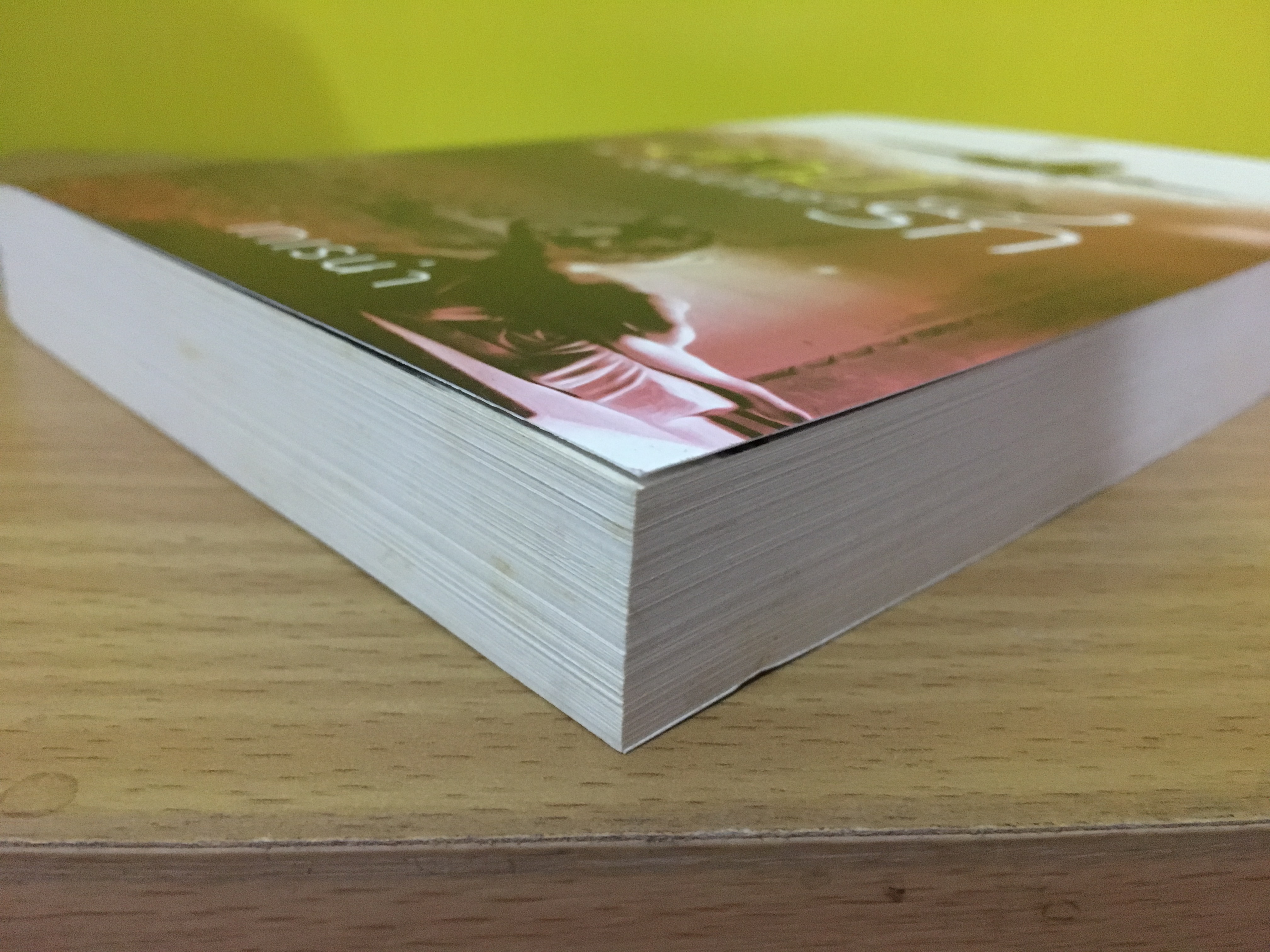 สามีรักจอมบัญชา / เทเรน่า