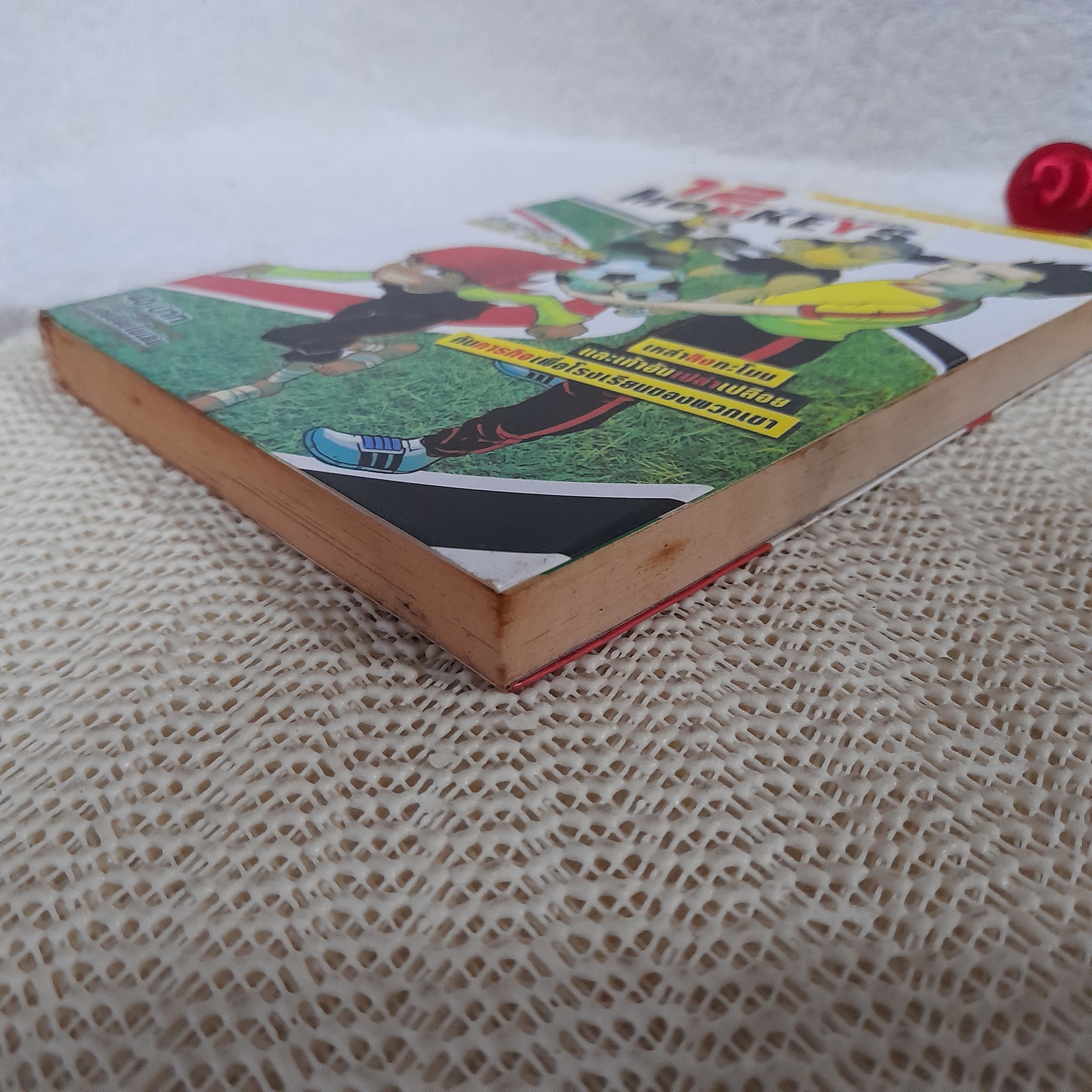 12 Monkeys ขบวนเตะตีนเปลือย