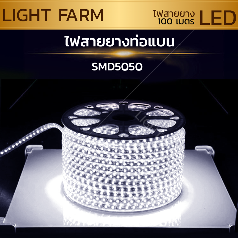 ไฟสายยาง SMD 5050 (100 m.) สีขาว (ท่อแบน)