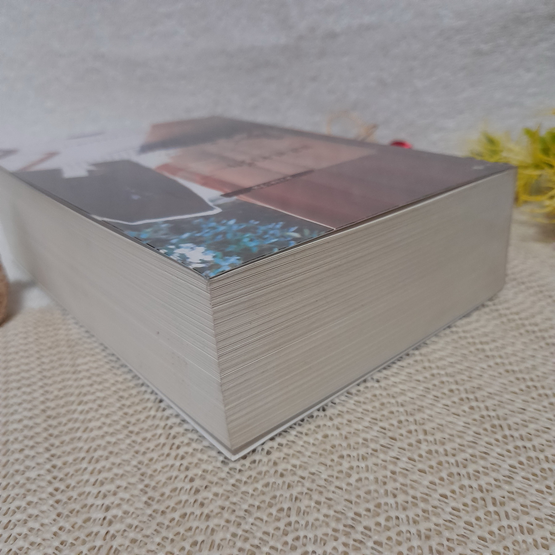 แสงเงารัก / ดวงตะวัน