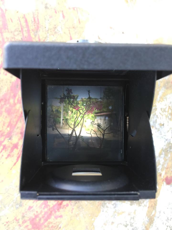 RICOHFLEX VIIS