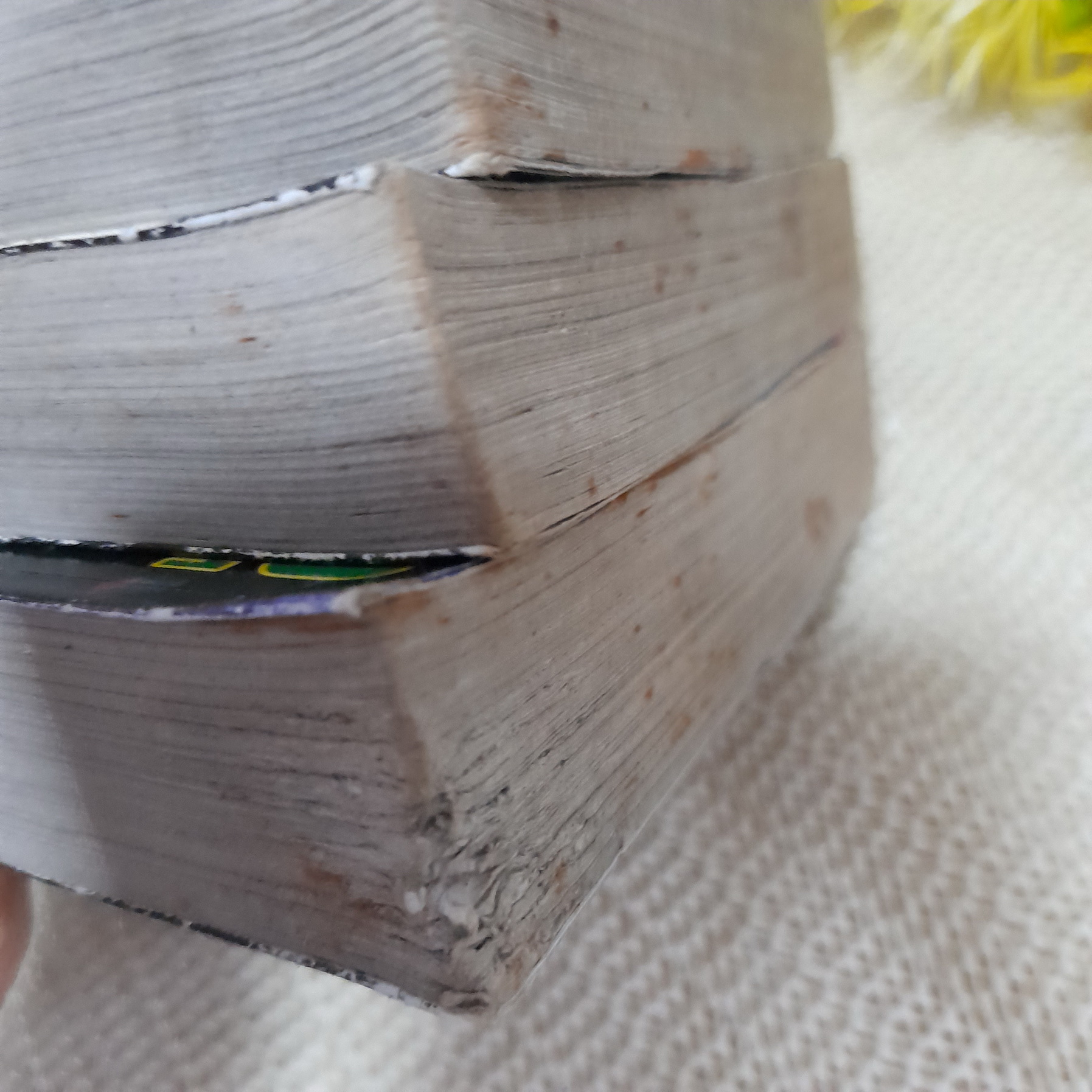 God Job ก๊อด จ๊อบ 1-3 จบ (ผลงานของผู้เขียน ยิงสวนตะวัน)