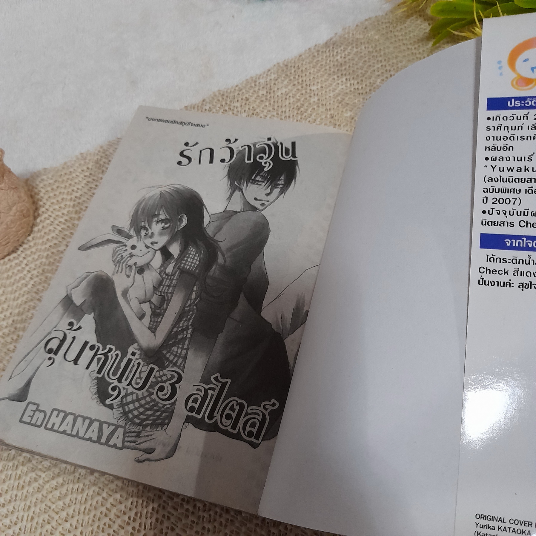 รักว้าวุ่นลุ้นหนุ่ม 3 สไตล์