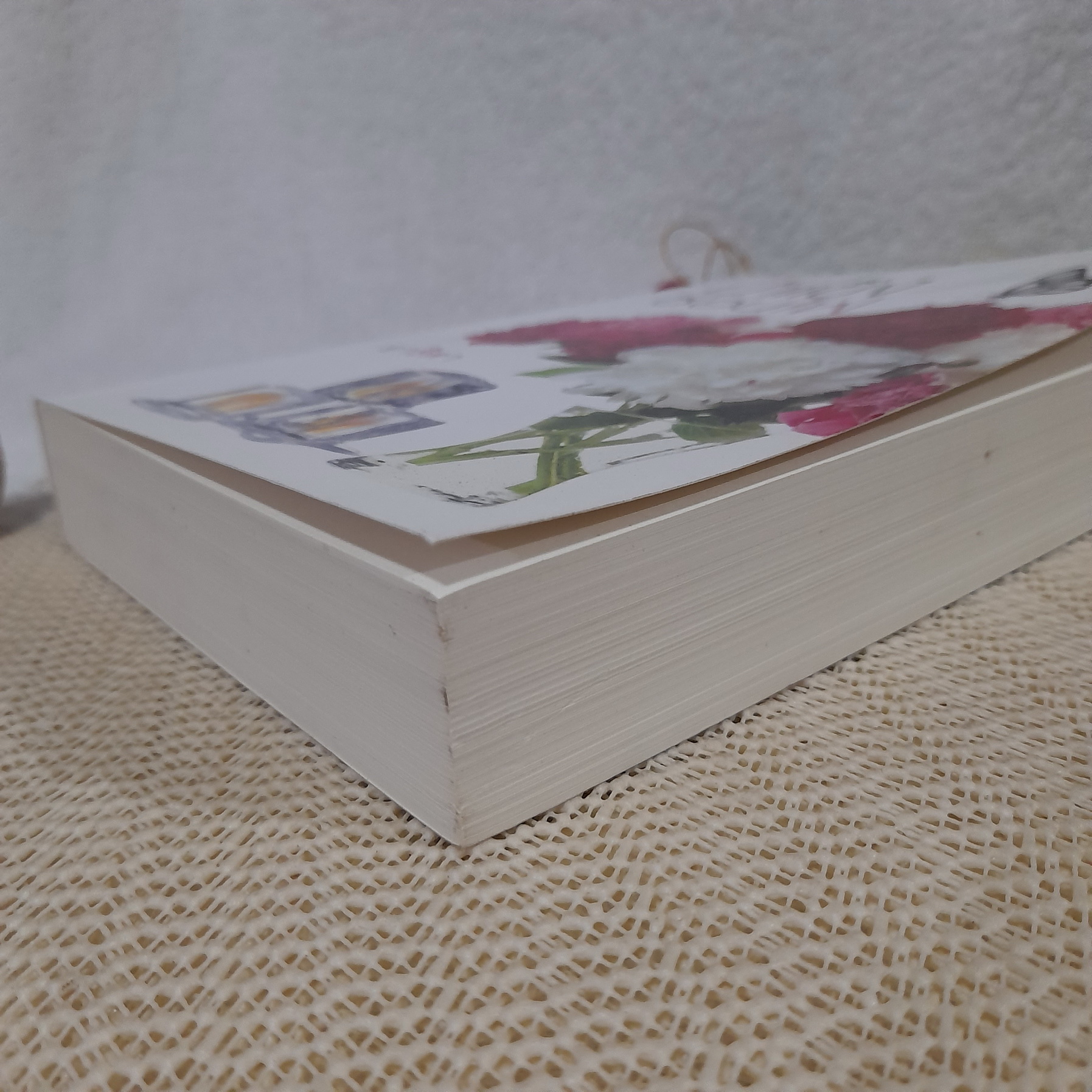 น้ำแข็งซ่อนไฟ / อาริตา