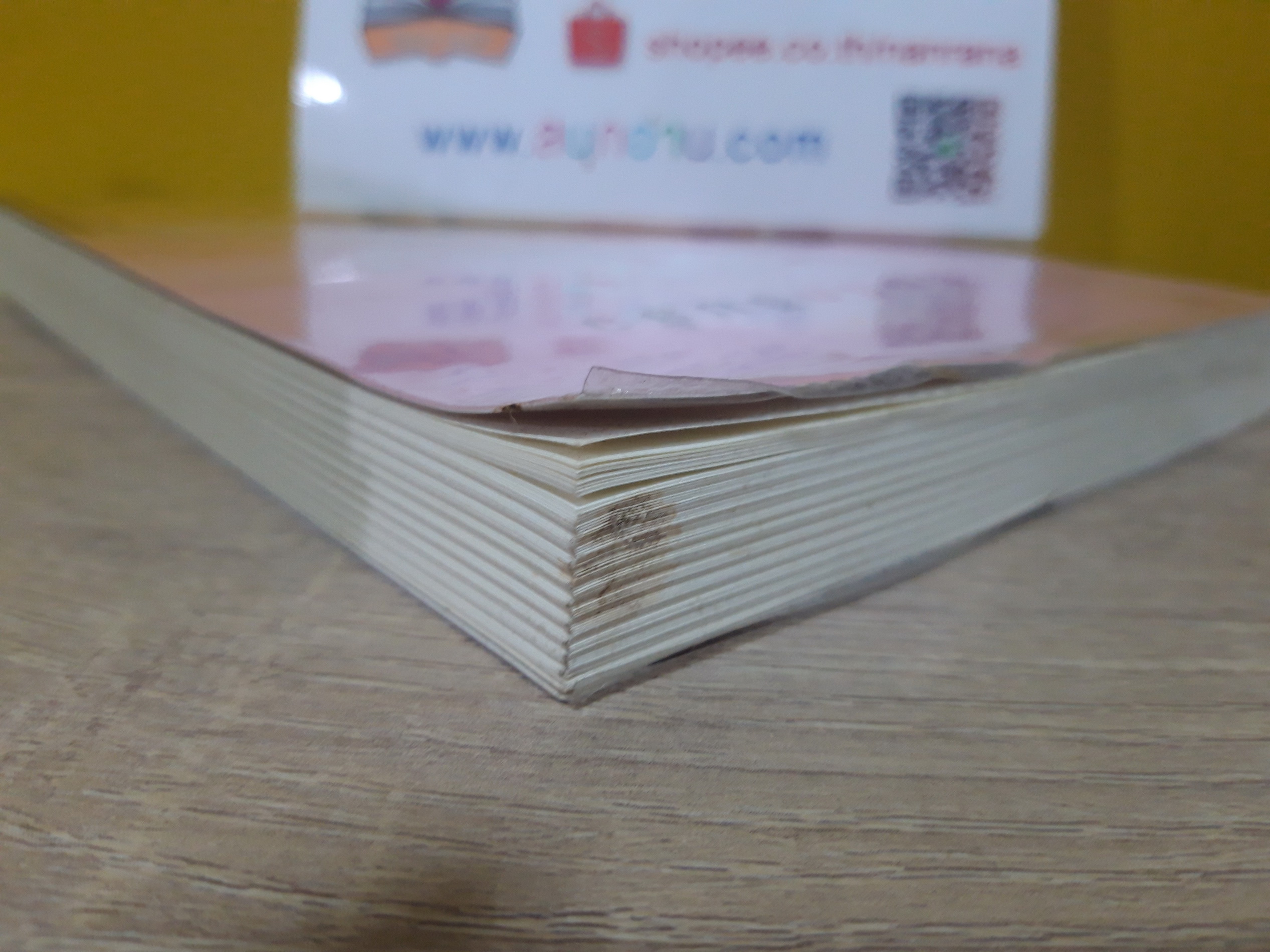 ต้นรักริมรั้ว / ร่มแก้ว