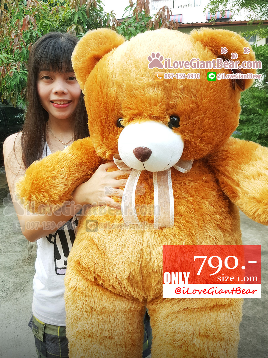 Size XL ขนาด 100cm ขนฟูนุ่ม สีน้ำตาล มาใหม่ น่ากอด ขนนุ่มมากๆจ้า :)