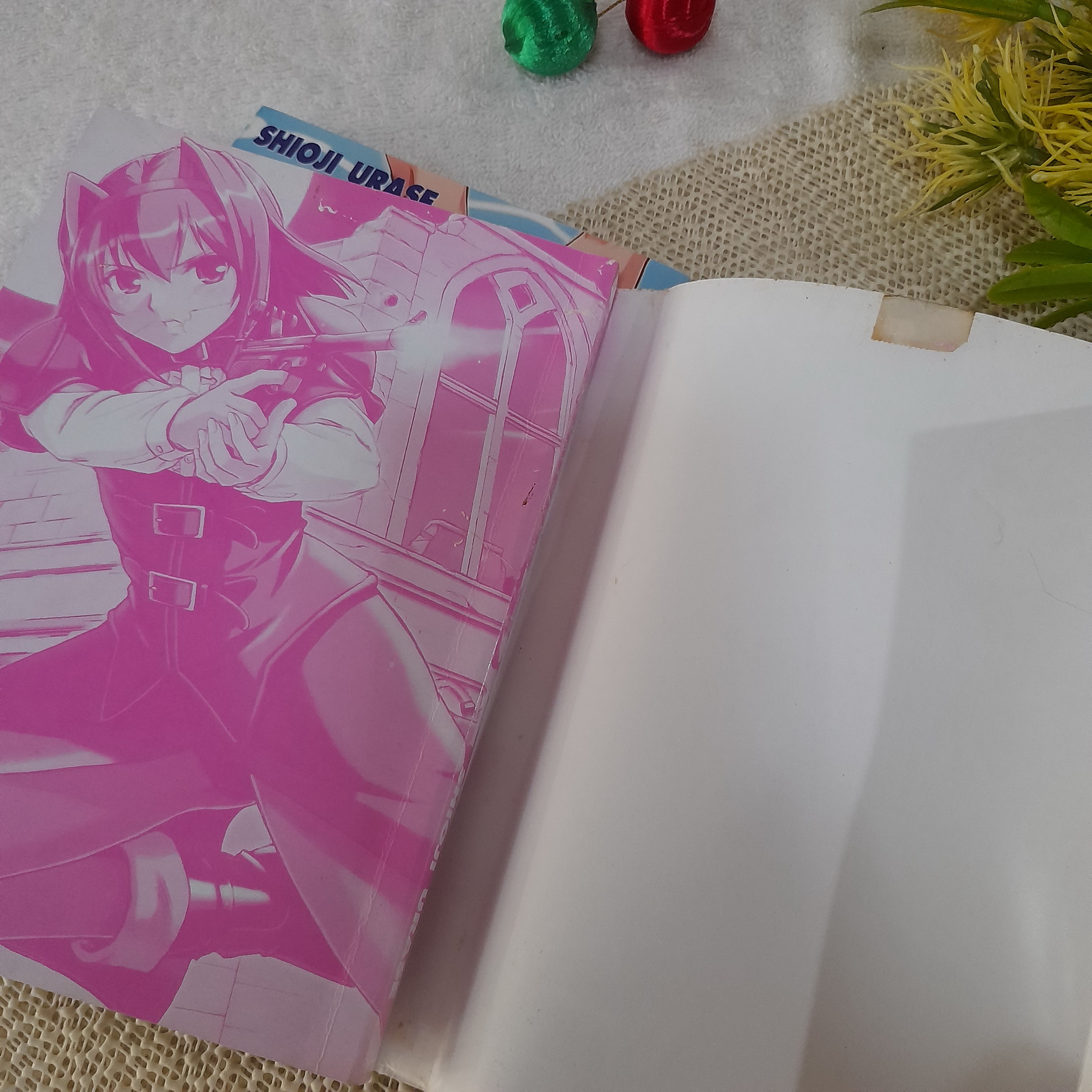 คู่ล่าล้างปีศาจ 1-2 ไม่จบ / * ขาดเล่ม 3