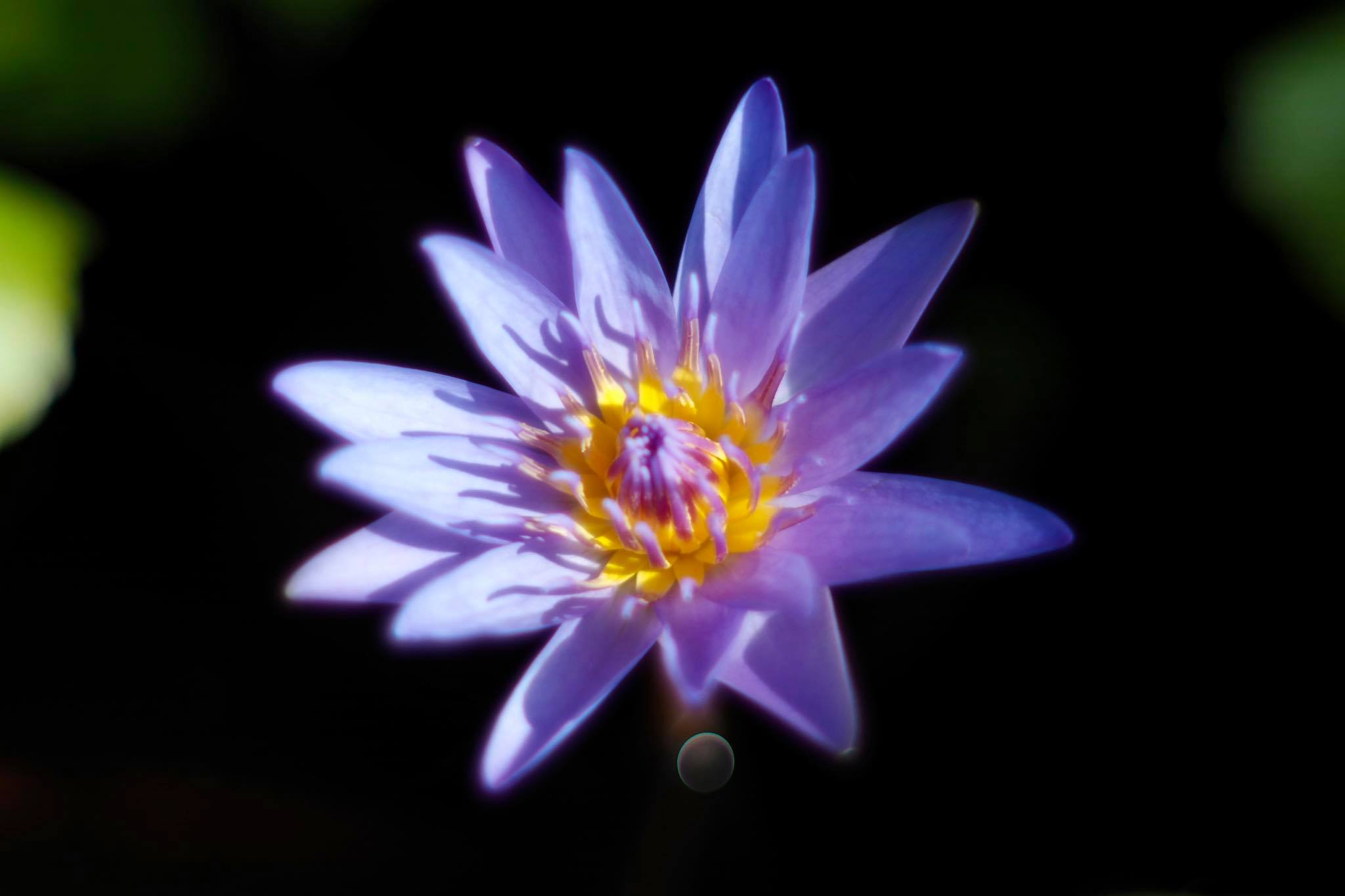 KONICA HEXANON AR 57MM.F1.4 AR MOUNT