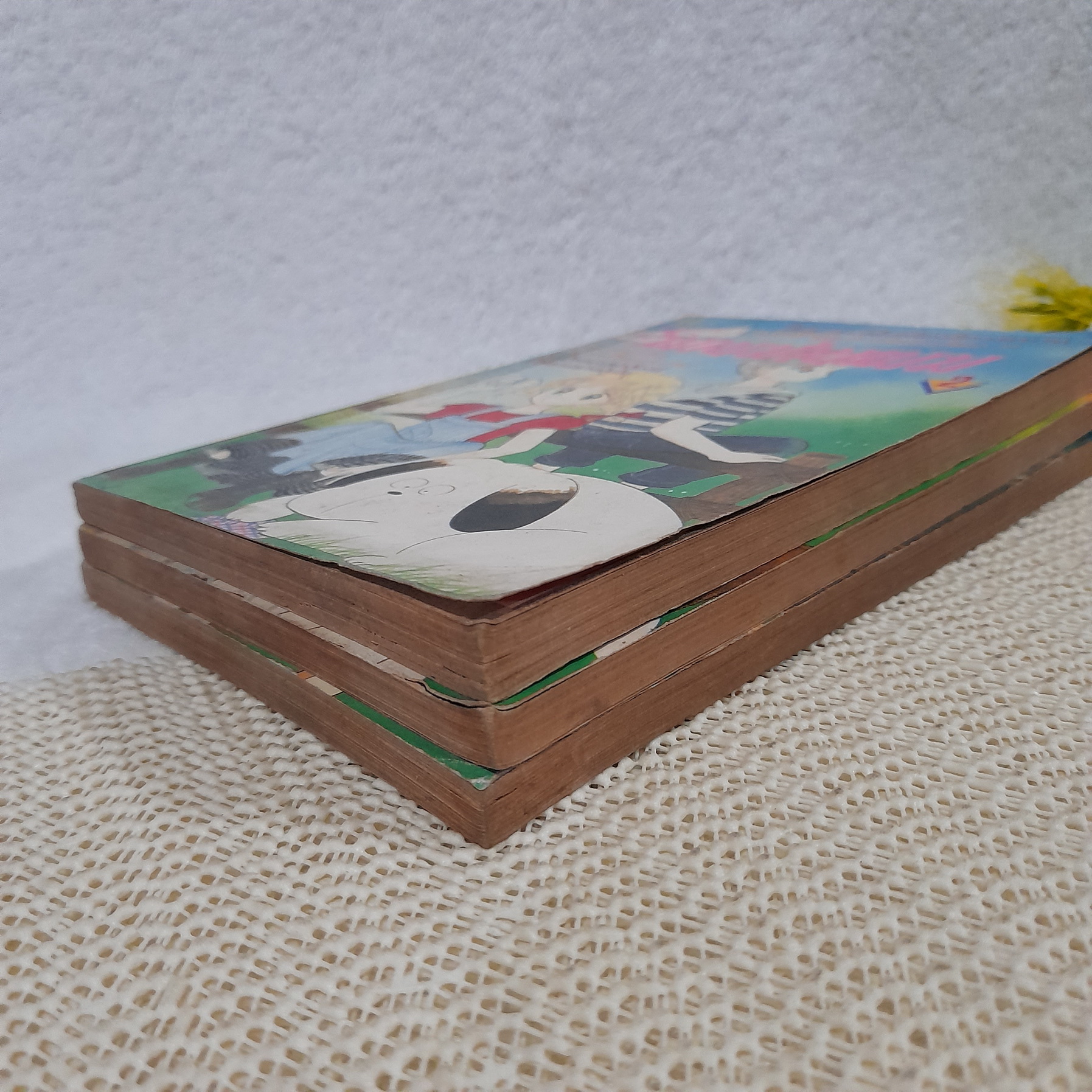 วิมานม่านเมฆ 2-4 จบ / * ขาดเล่ม 1 / Mizusawa Megumi