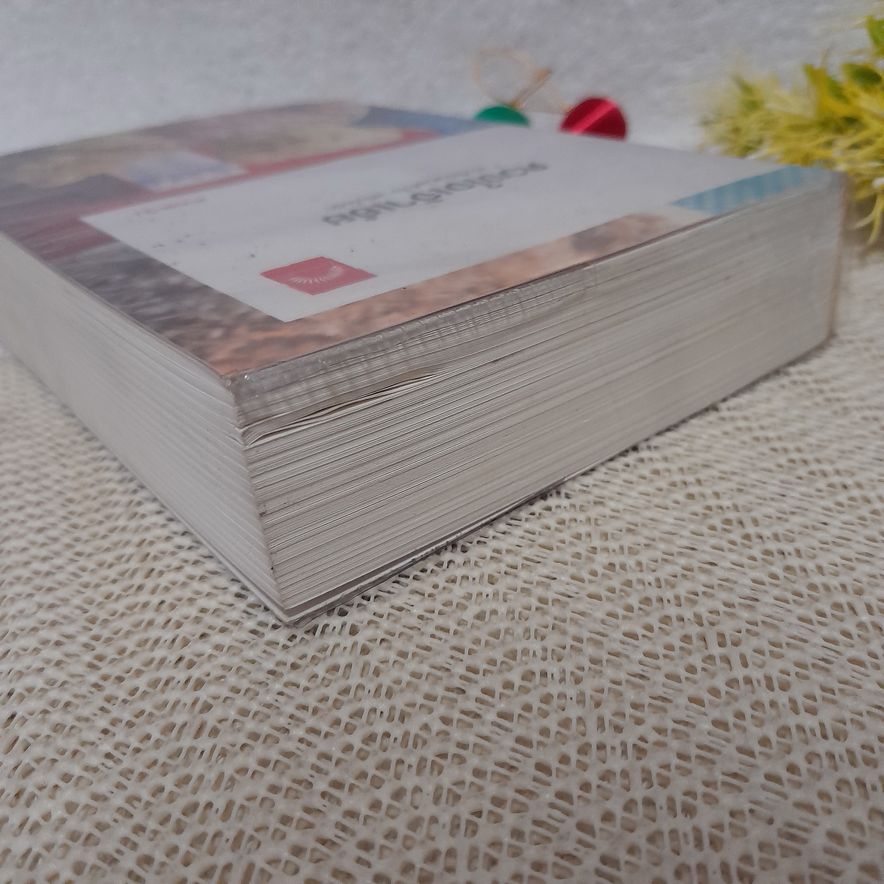 ดวงใจเจ้าเอ๋ย / ดวงตะวัน