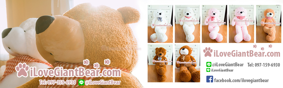 iLoveGiantBear