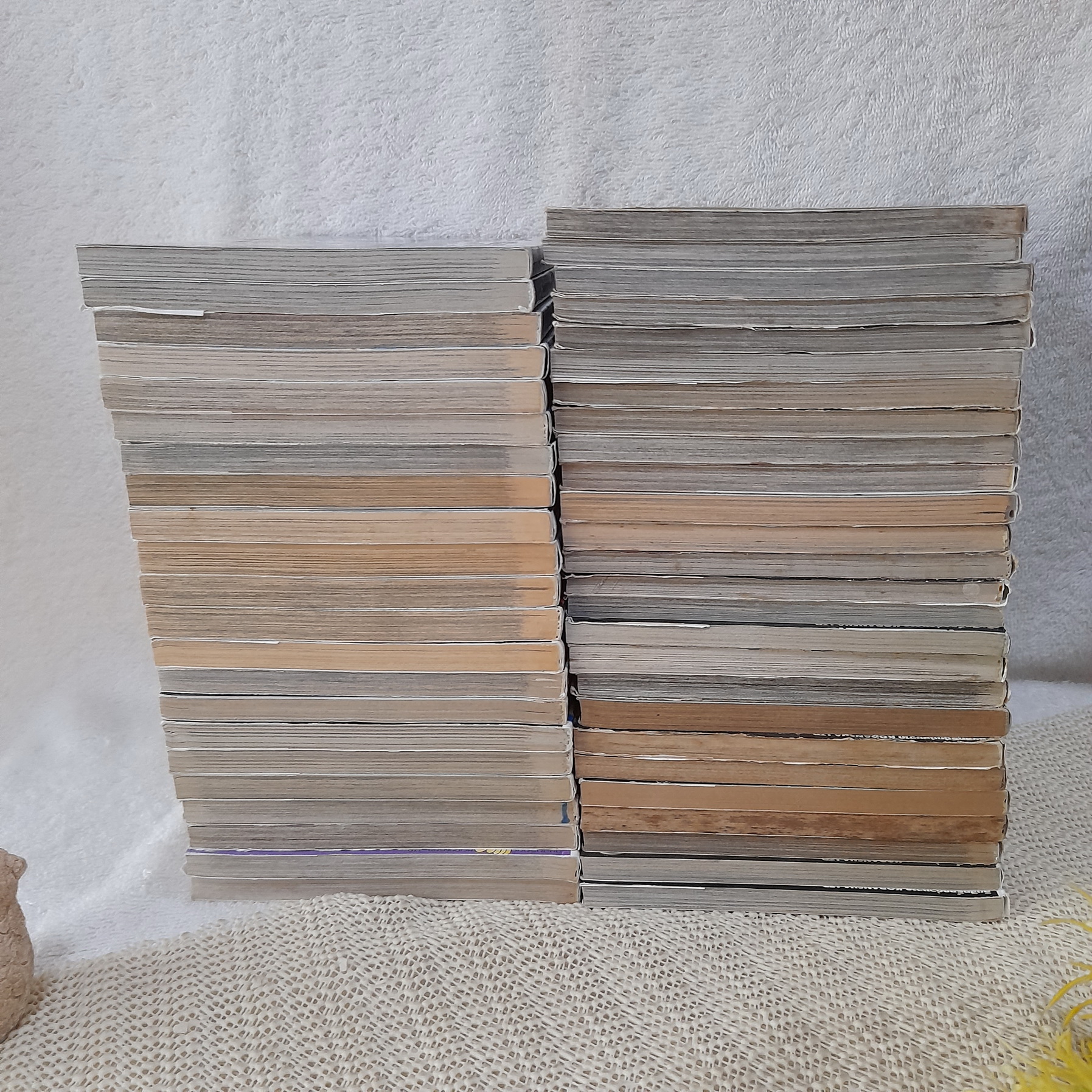 คุณชายพันธุ์โชะ โคฮินาตะ มิโนรุ 1-49 ไม่จบ / * ขาดเล่ม 50