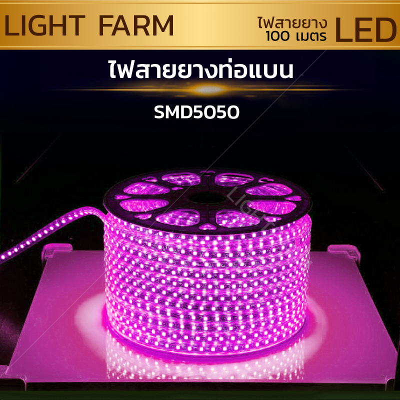 ไฟสายยาง SMD 5050 (100 m.) สีชมพู (ท่อแบน)