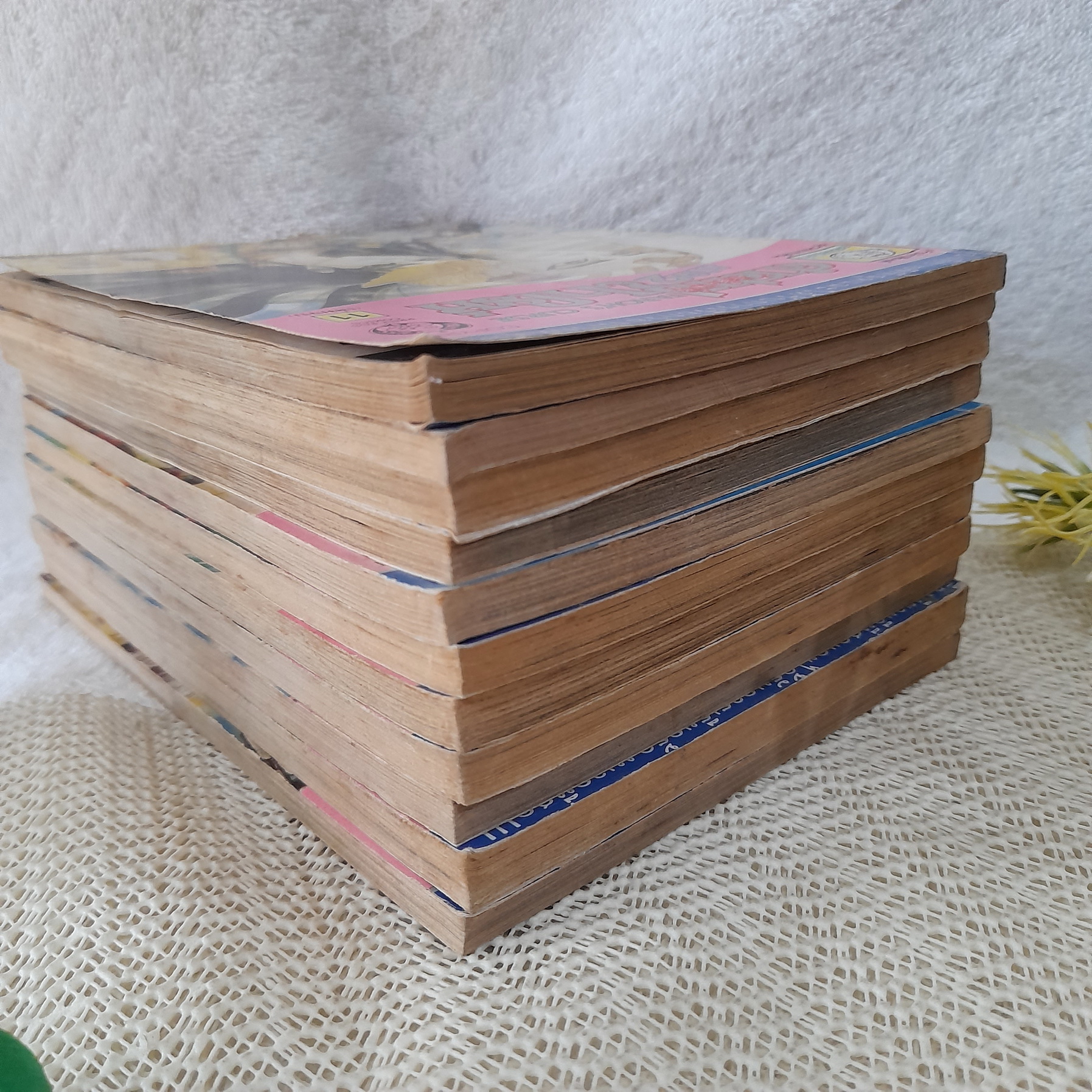 คำสาปฟาโรห์ ภาค 2 เล่ม 1-11 จบ