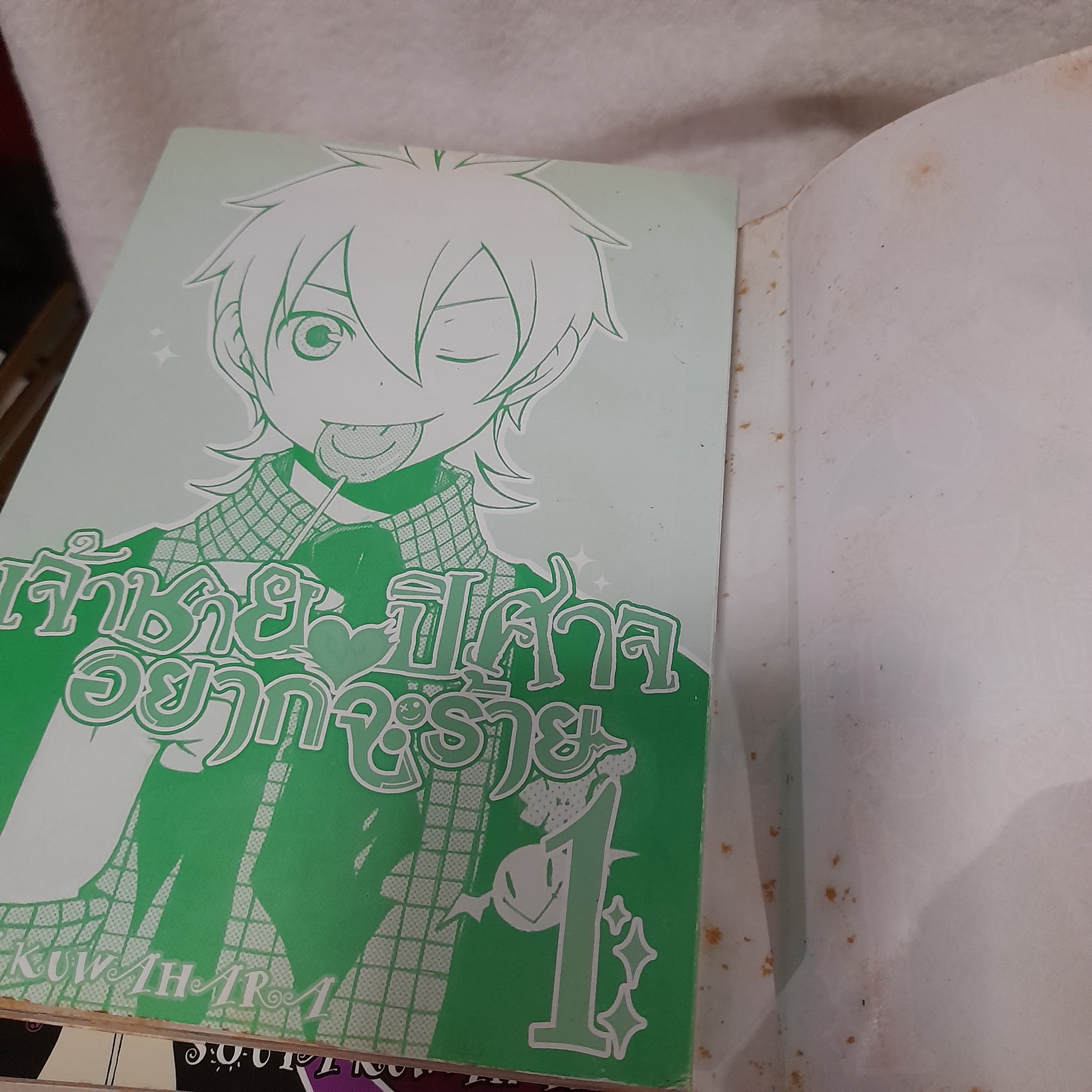 เจ้าชายปีศาจ อยากจะร้าย 1-13 ไม่จบ