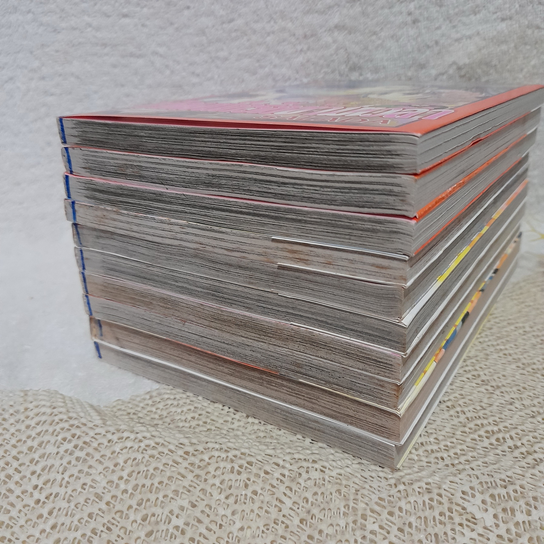 เปิดผนึกรักข้ามเวลา 1-10 จบ / SALADA