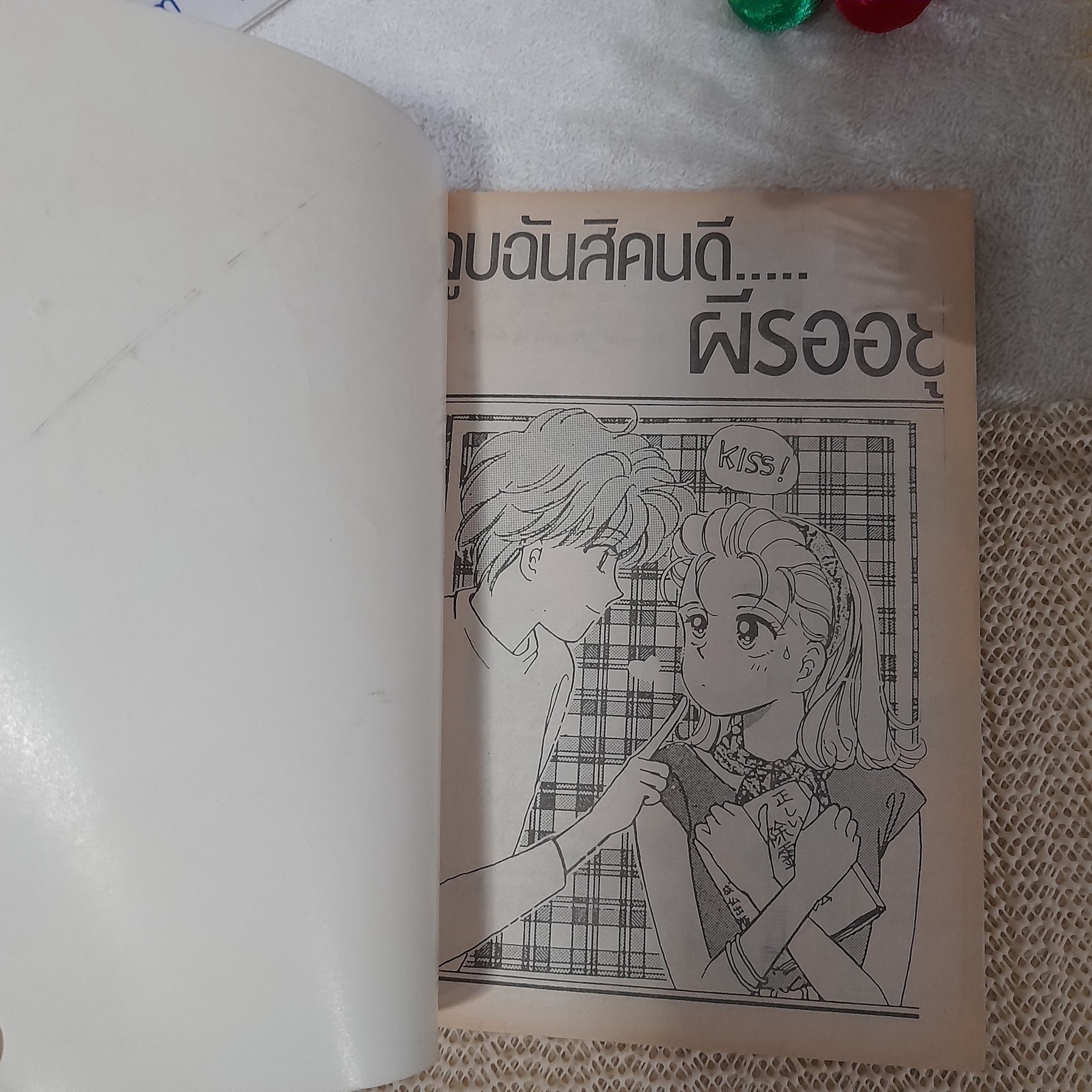 จูบฉันสิคนดีผีรออยู่ / Hojo Chika