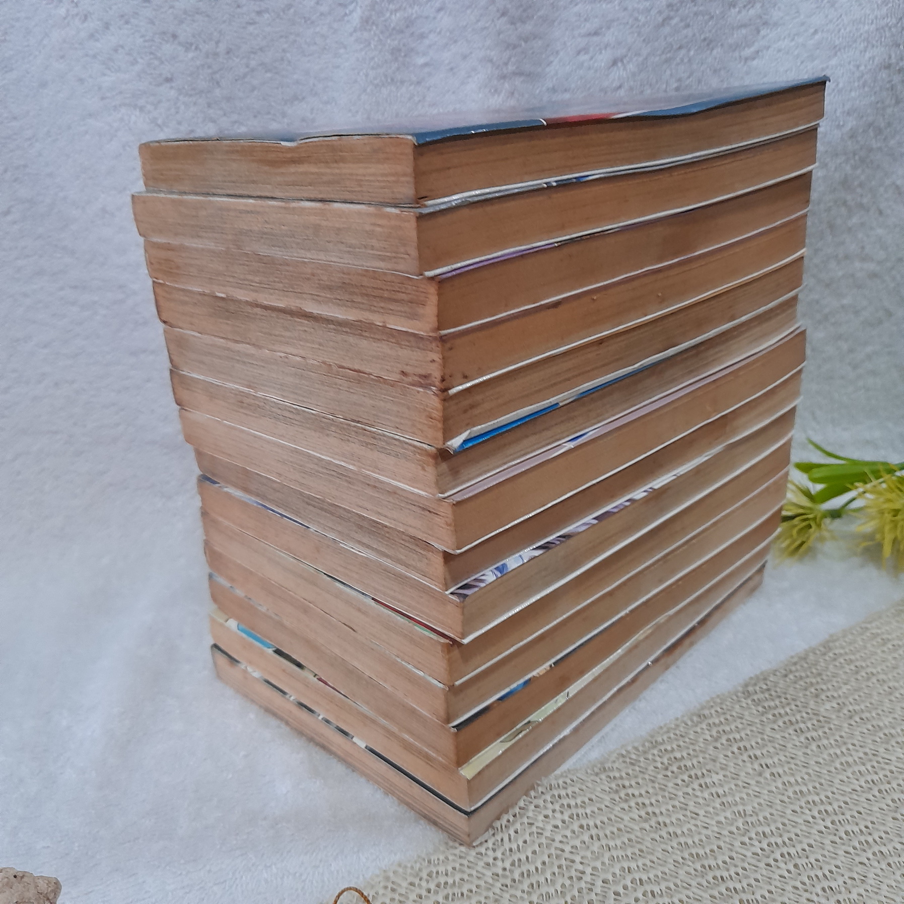 จิ้งจอก 9 หาง 1-14 ไม่จบ / * ขาดเล่ม 15-21