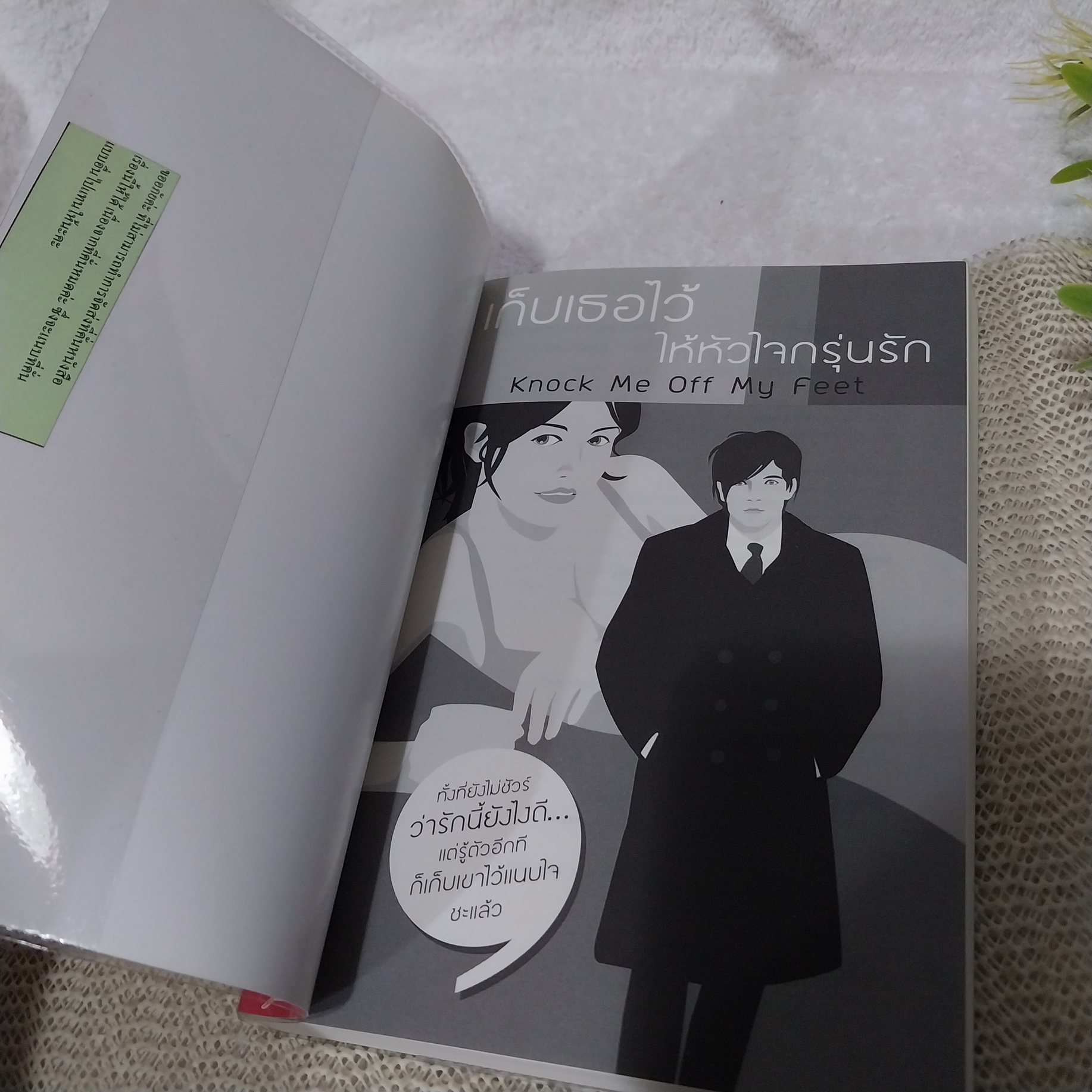 เก็บเธอไว้ให้หัวใจกรุ่นรัก (Knock Me Off My Feet) / Susan Donovan