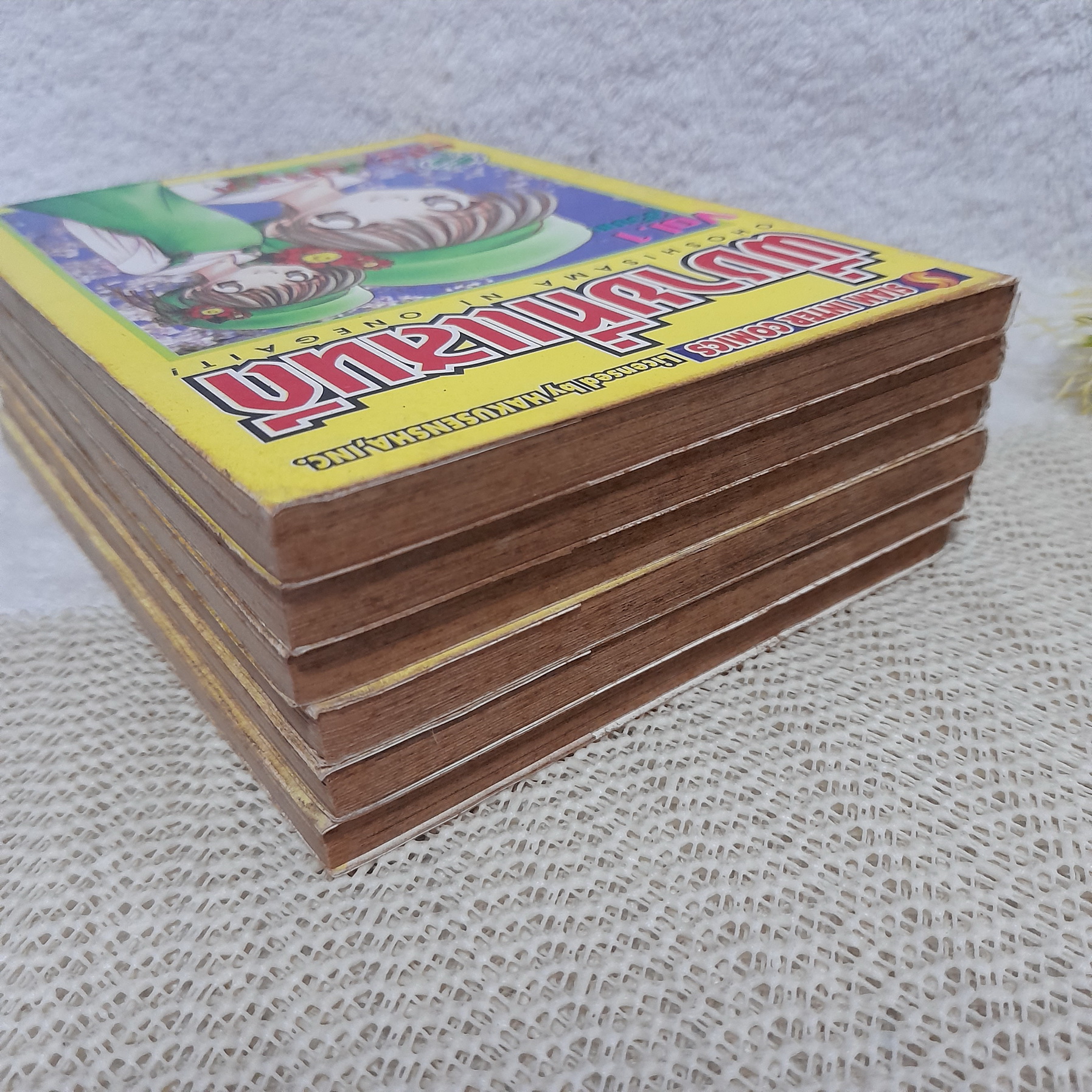 พี่ชายที่แสนดี 1-6 ไม่จบ / * ขาดเล่ม 7,8