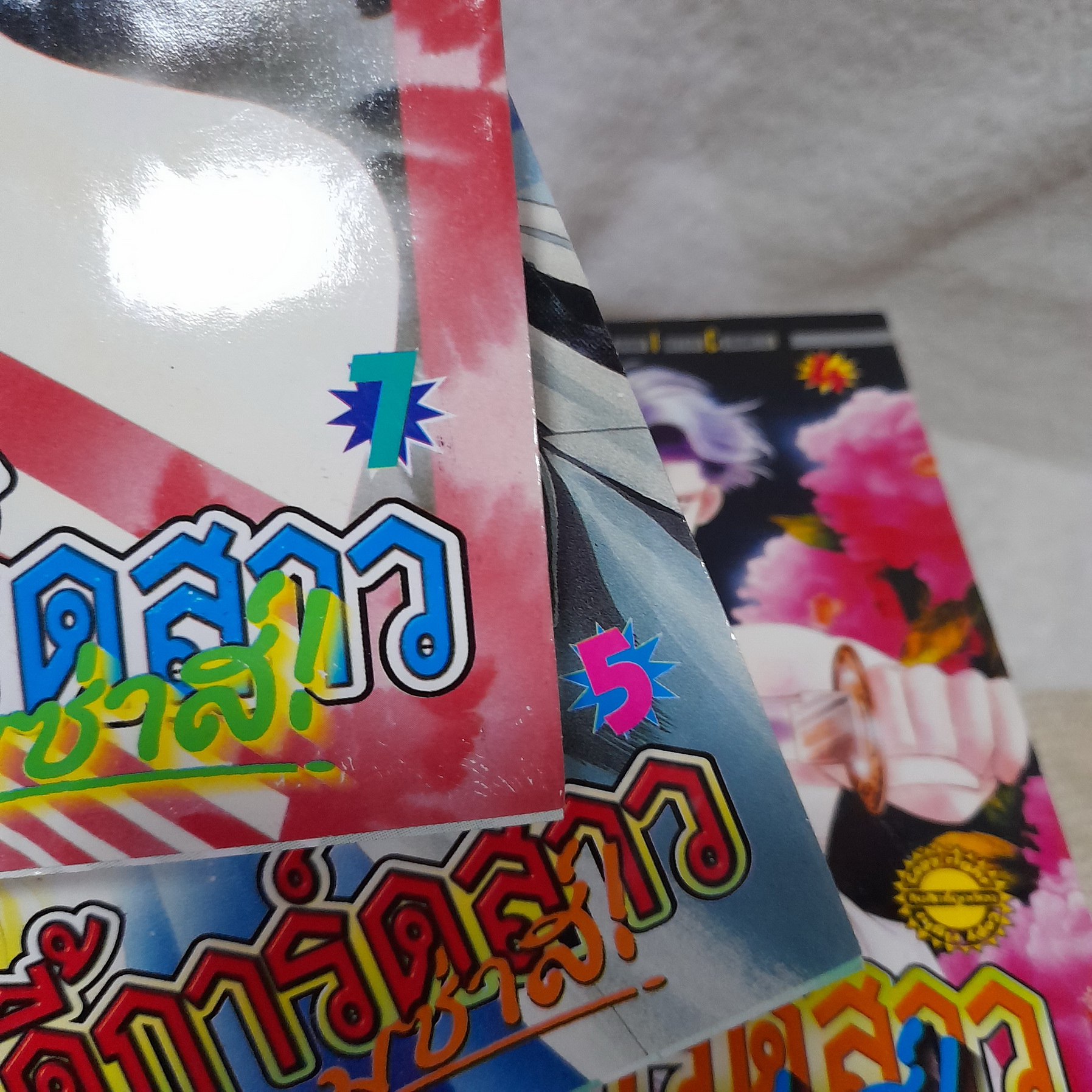 บอดี้การ์ดสาว จอมซ่าส์ 1-19 จบ