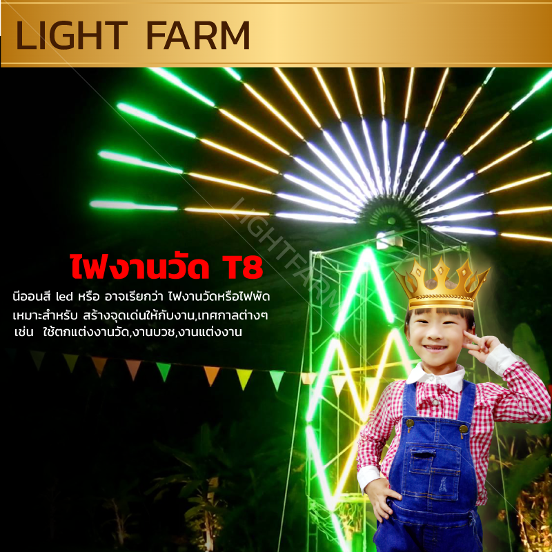 หลอดไฟงานวัด LED (ไฟนิ่งไม่กระพริบ) สีชมพู / หลอดไฟ T8 หลอดสี