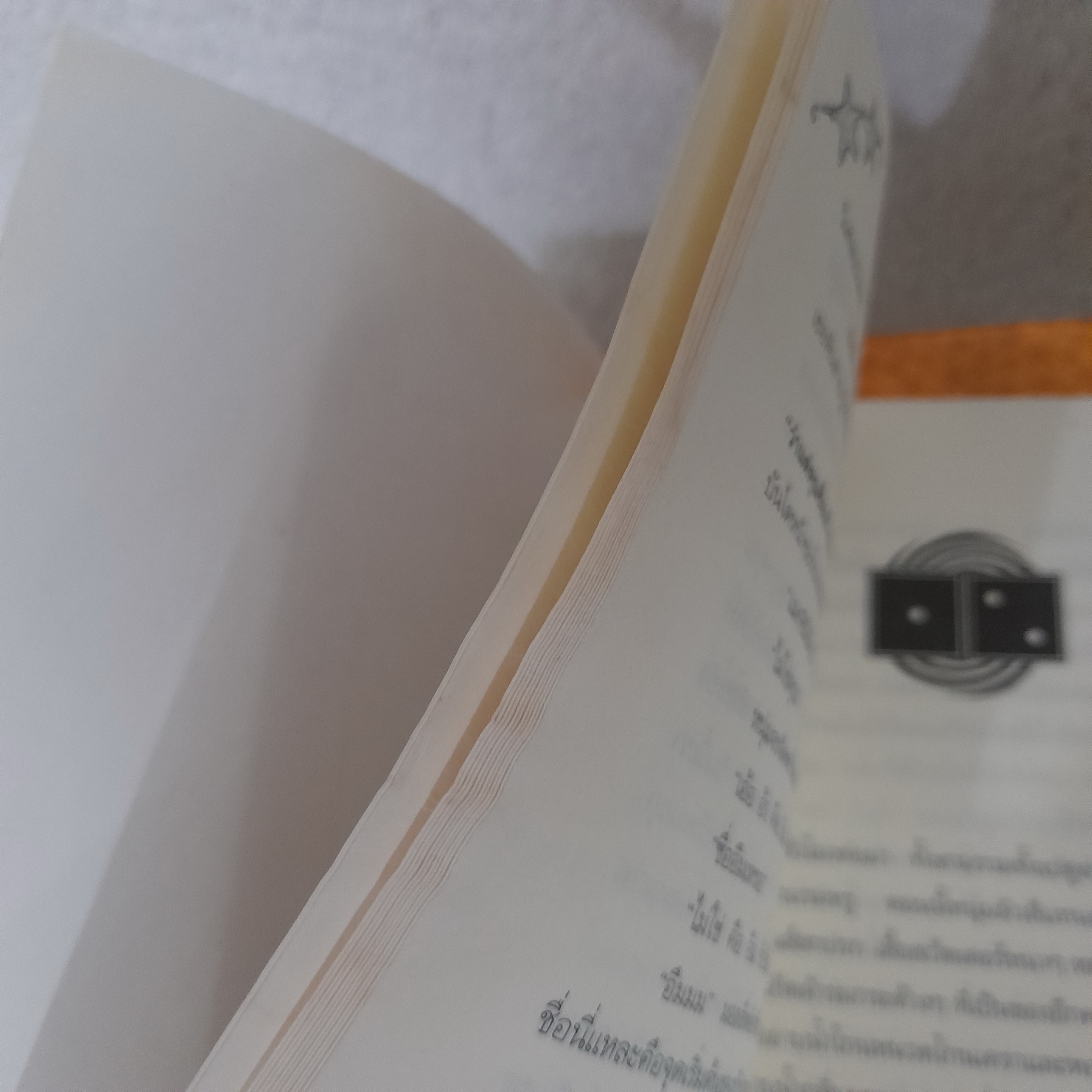 มอลลี่มูน (ขายแยกเล่ม)