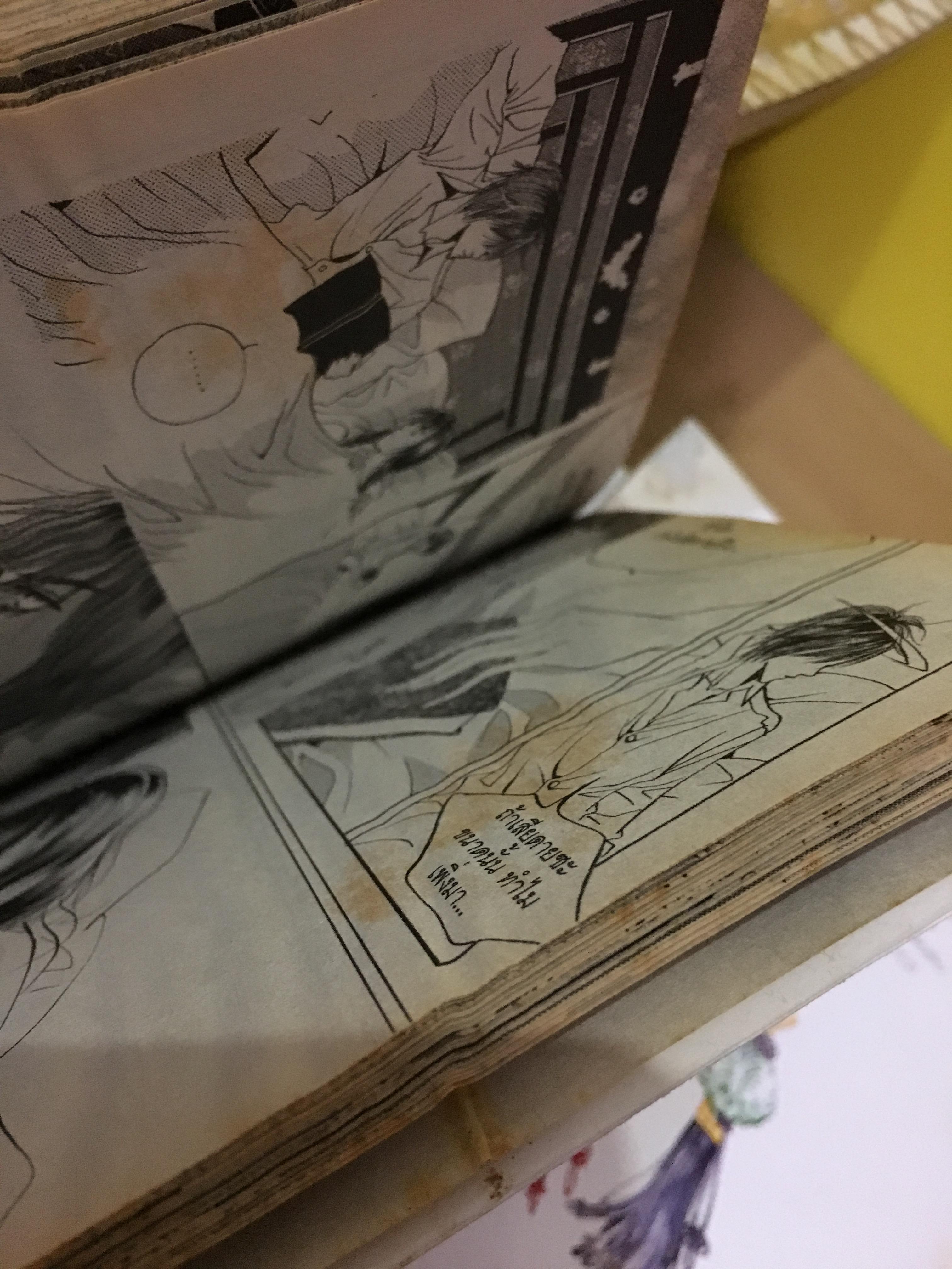 เจ้าหญิงจอมจุ้นกับรักวุ่นๆ ในวัง เล่ม 1-27 ไม่จบ / *ขาดเล่ม 26,28