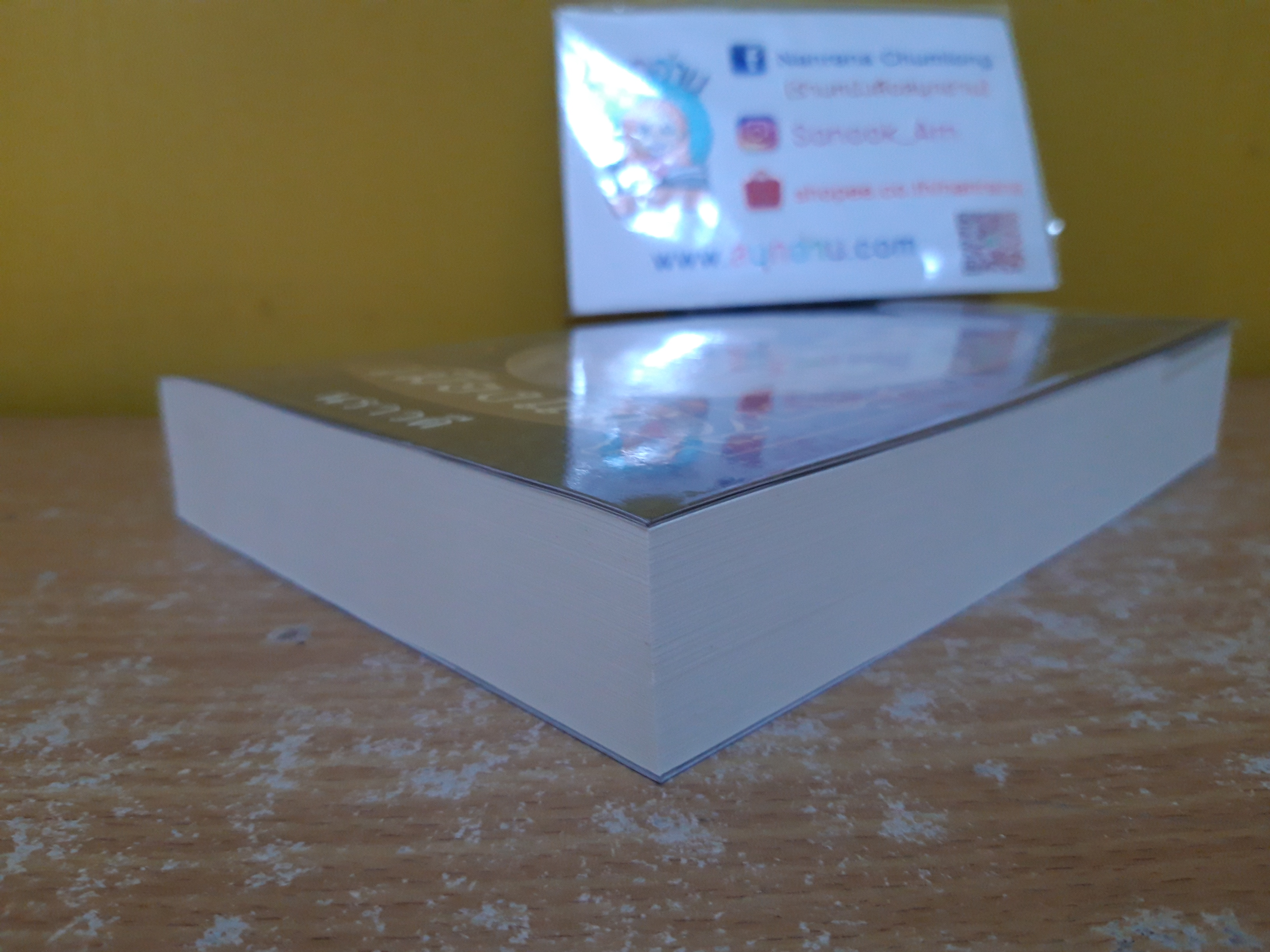 เมืองแม่ / นราวดี