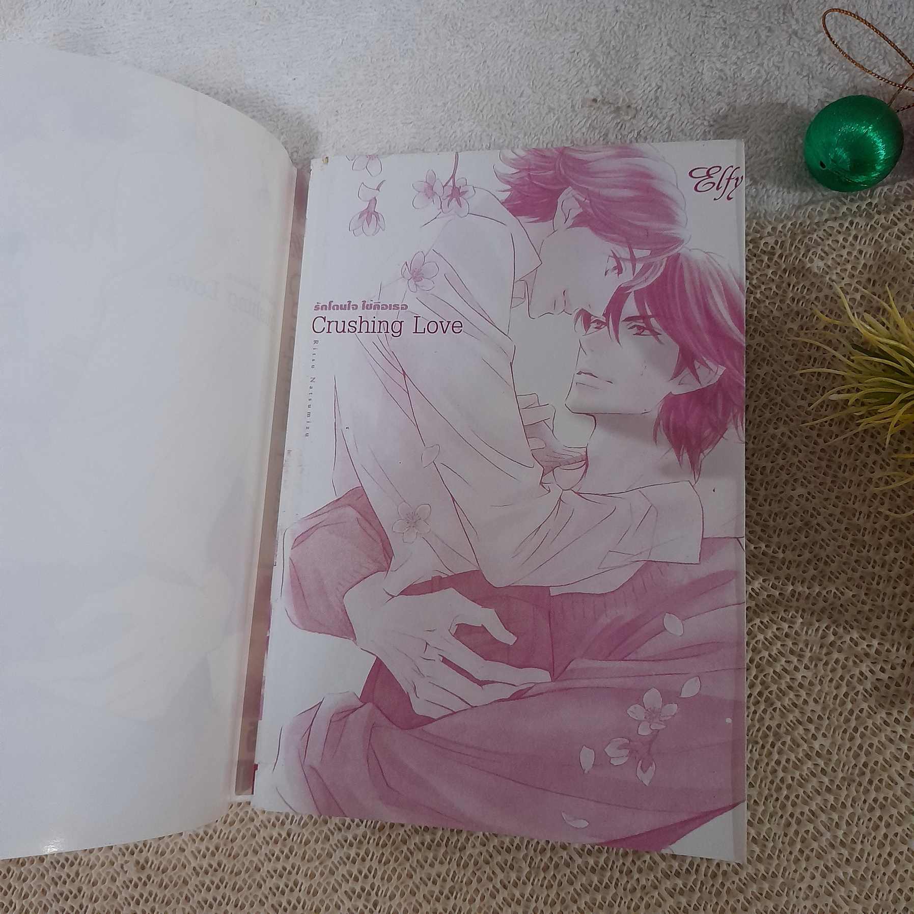 รักโดนใจใช่คือเธอ (Crushing Love)